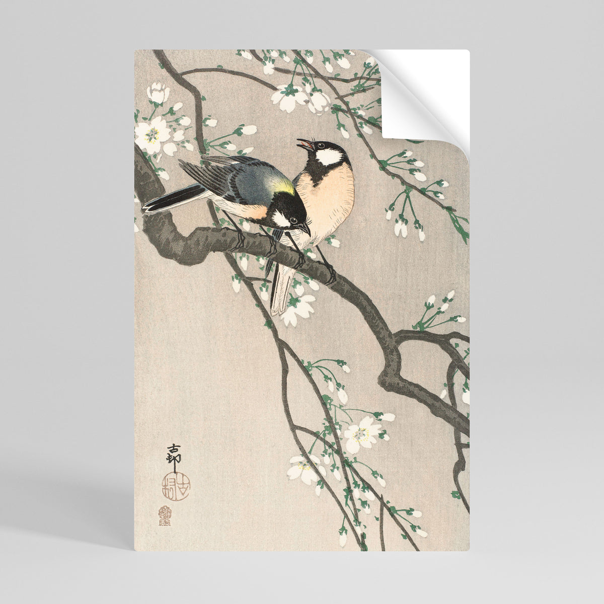 TITS ON CHERRY BRANCH Peel and Stick Vertical Poster