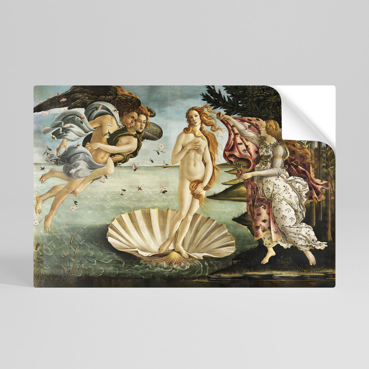 DIVINE BIRTH OF BEAUTY Peel and Stick Horizontal Poster