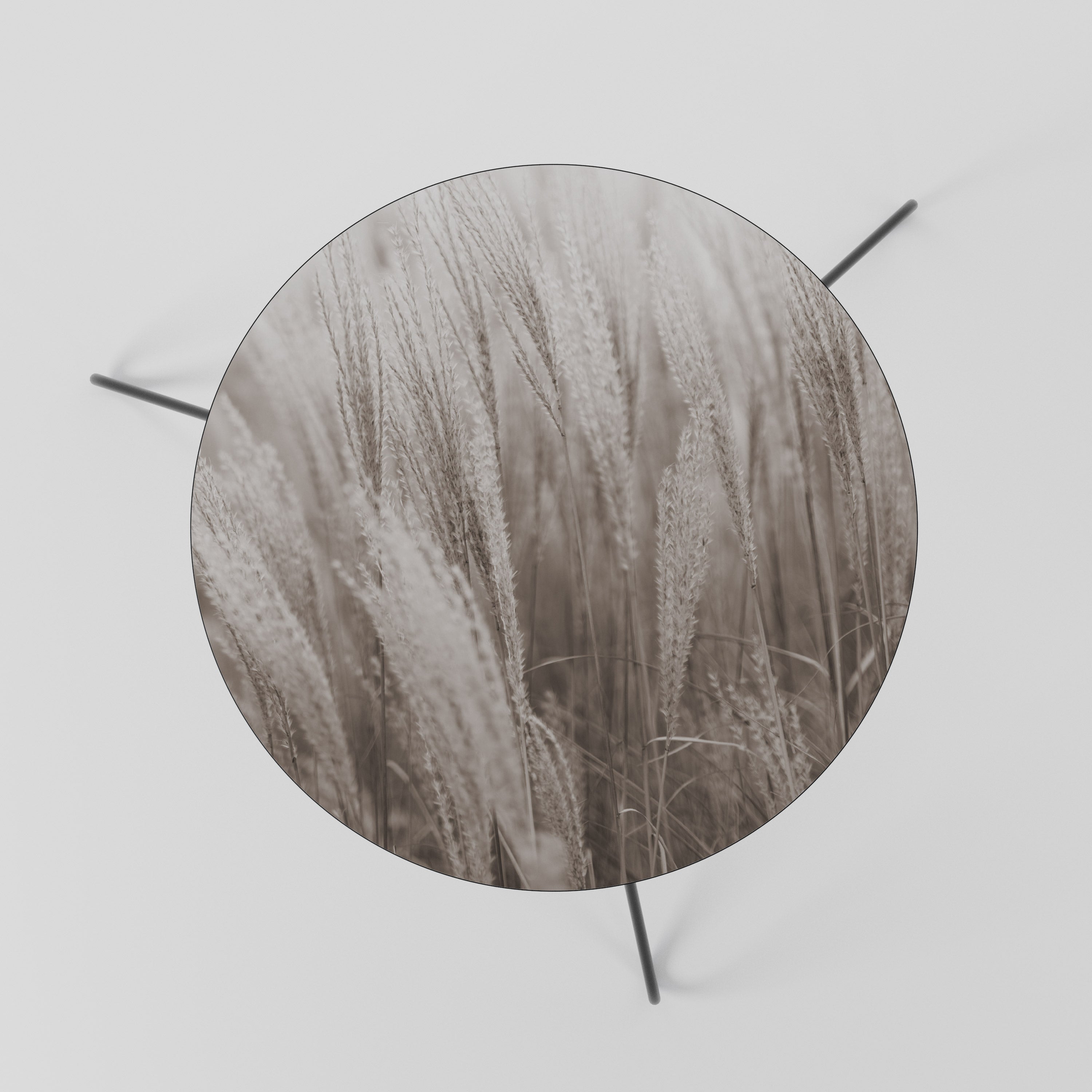 WHISPERS OF GRASS Couchtisch 60