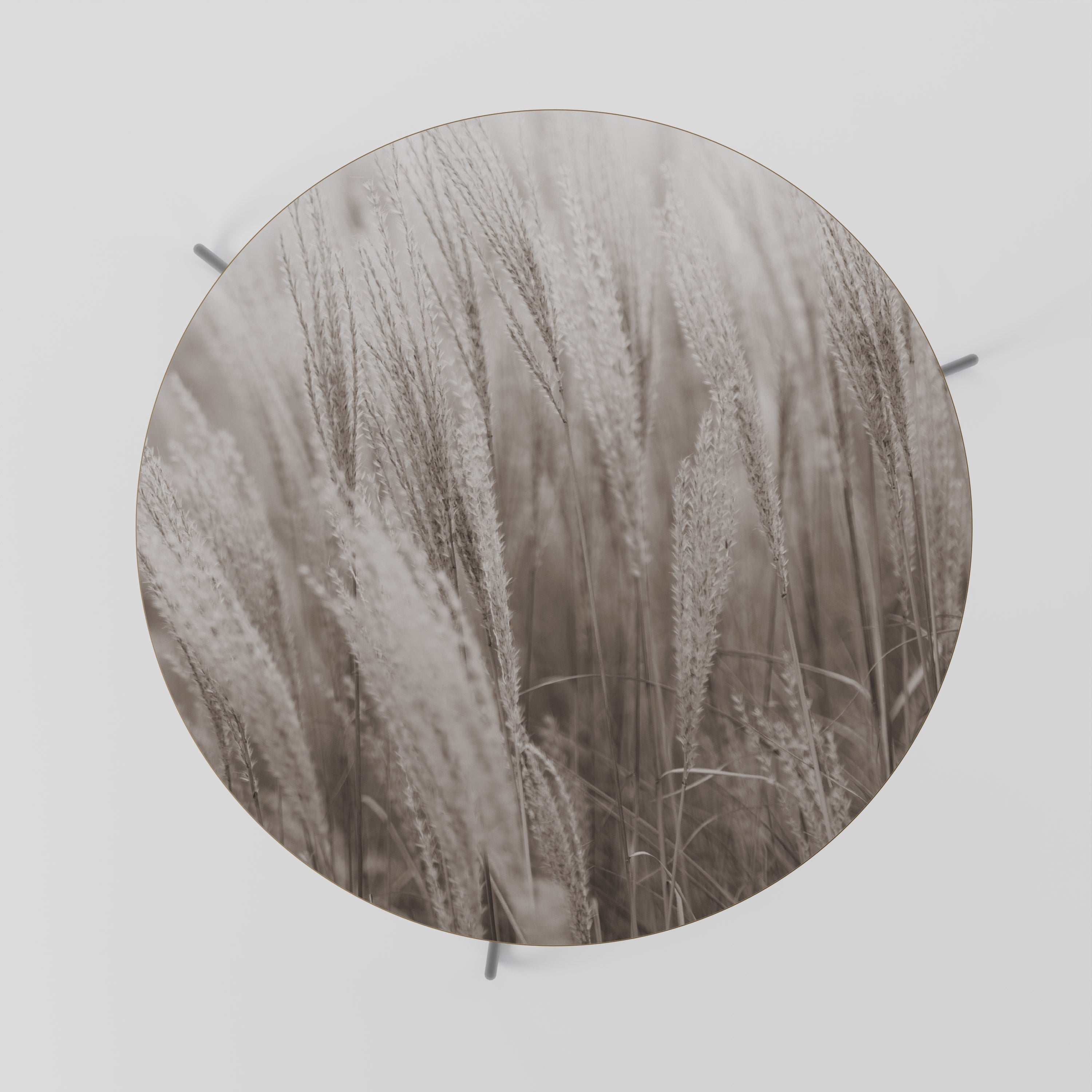 WHISPERS OF GRASS Couchtisch 69