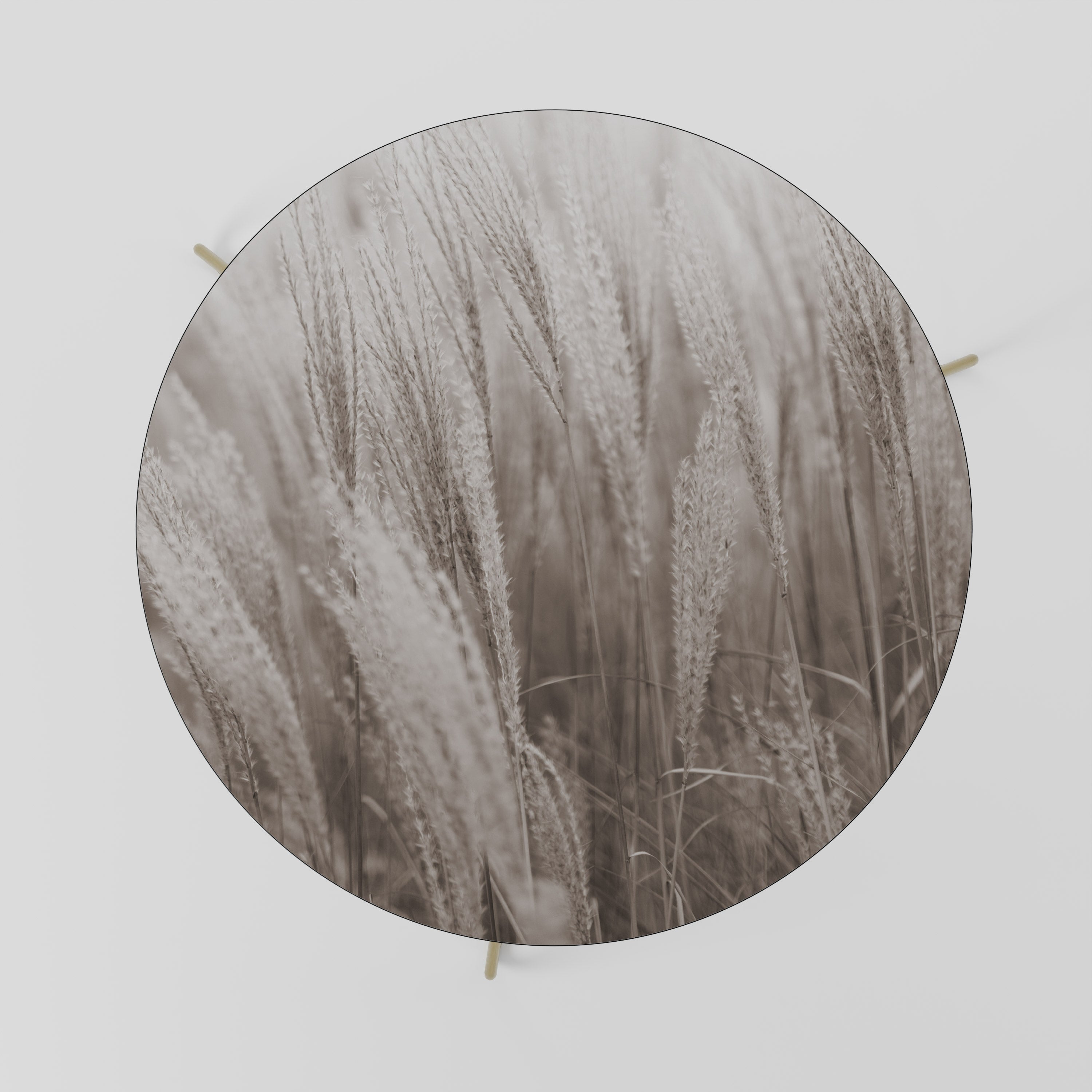 WHISPERS OF GRASS Couchtisch 69