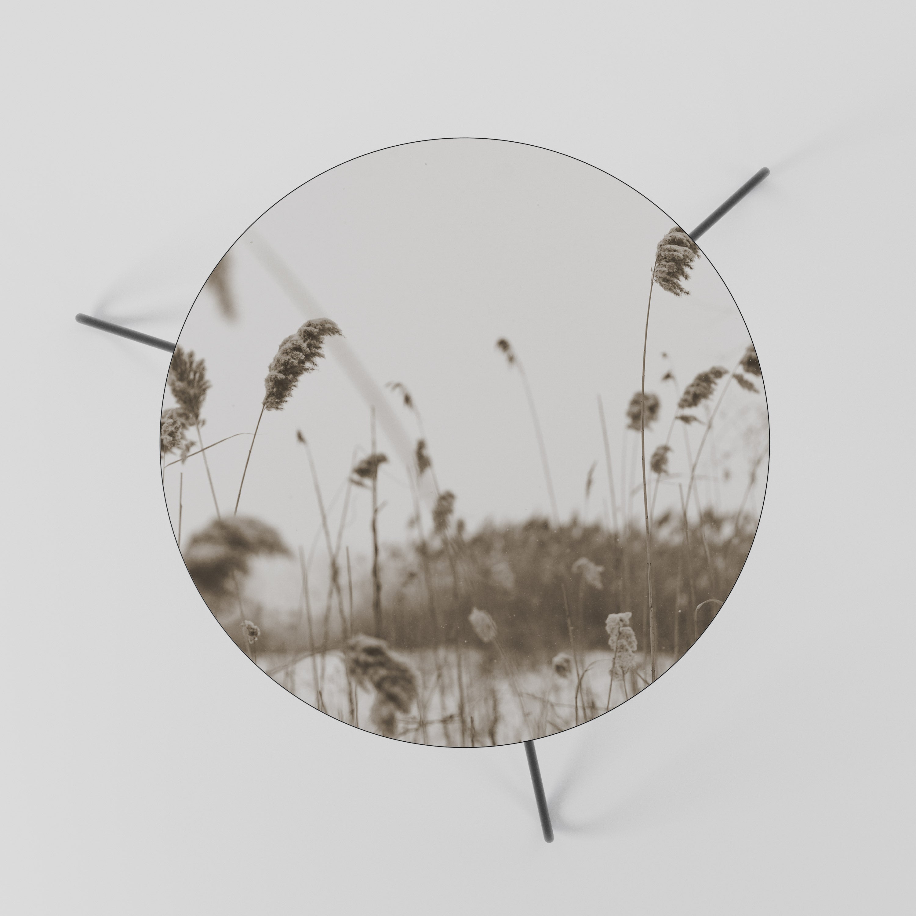 TIMELESS TUSSOCKS Couchtisch 60