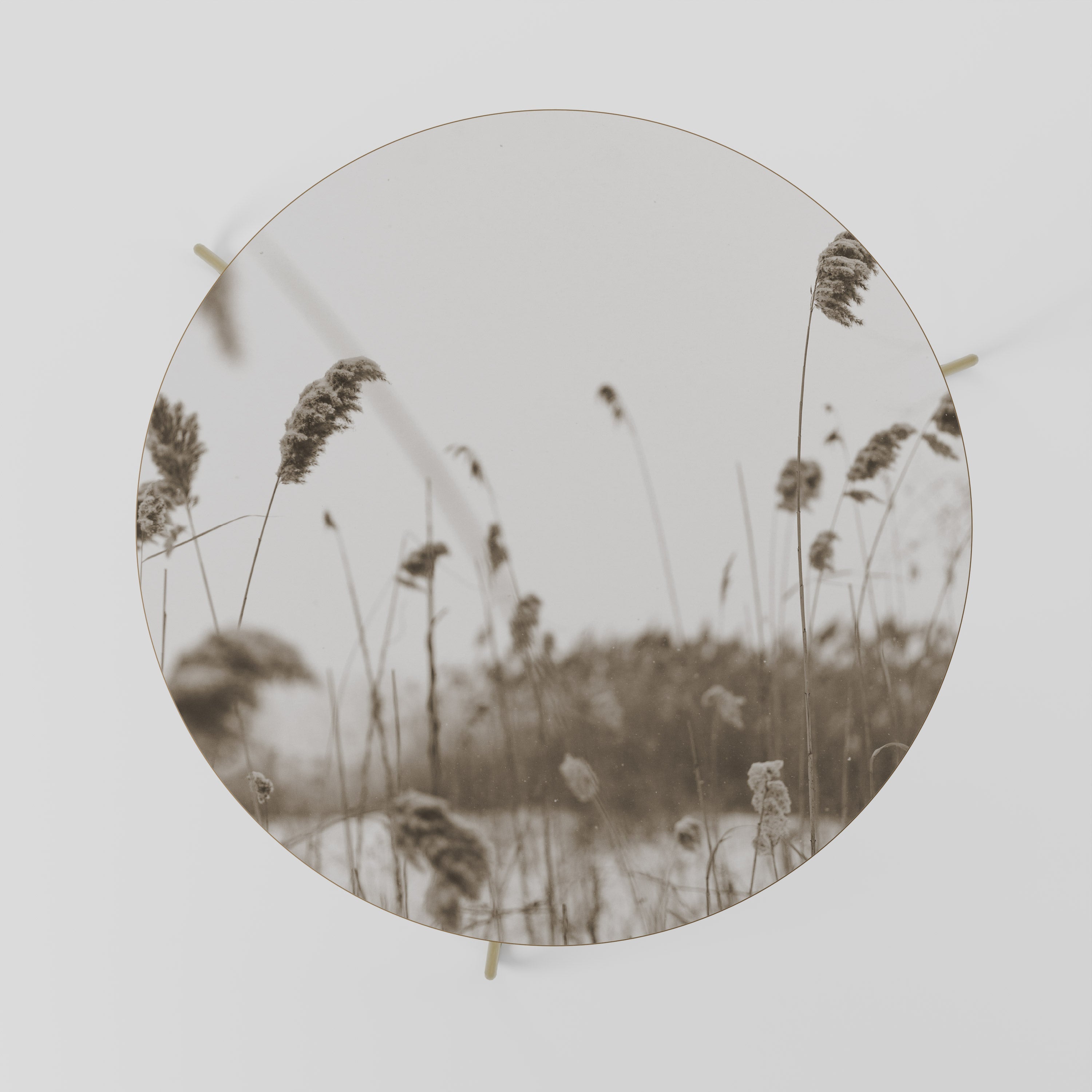 TIMELESS TUSSOCKS Couchtisch 69