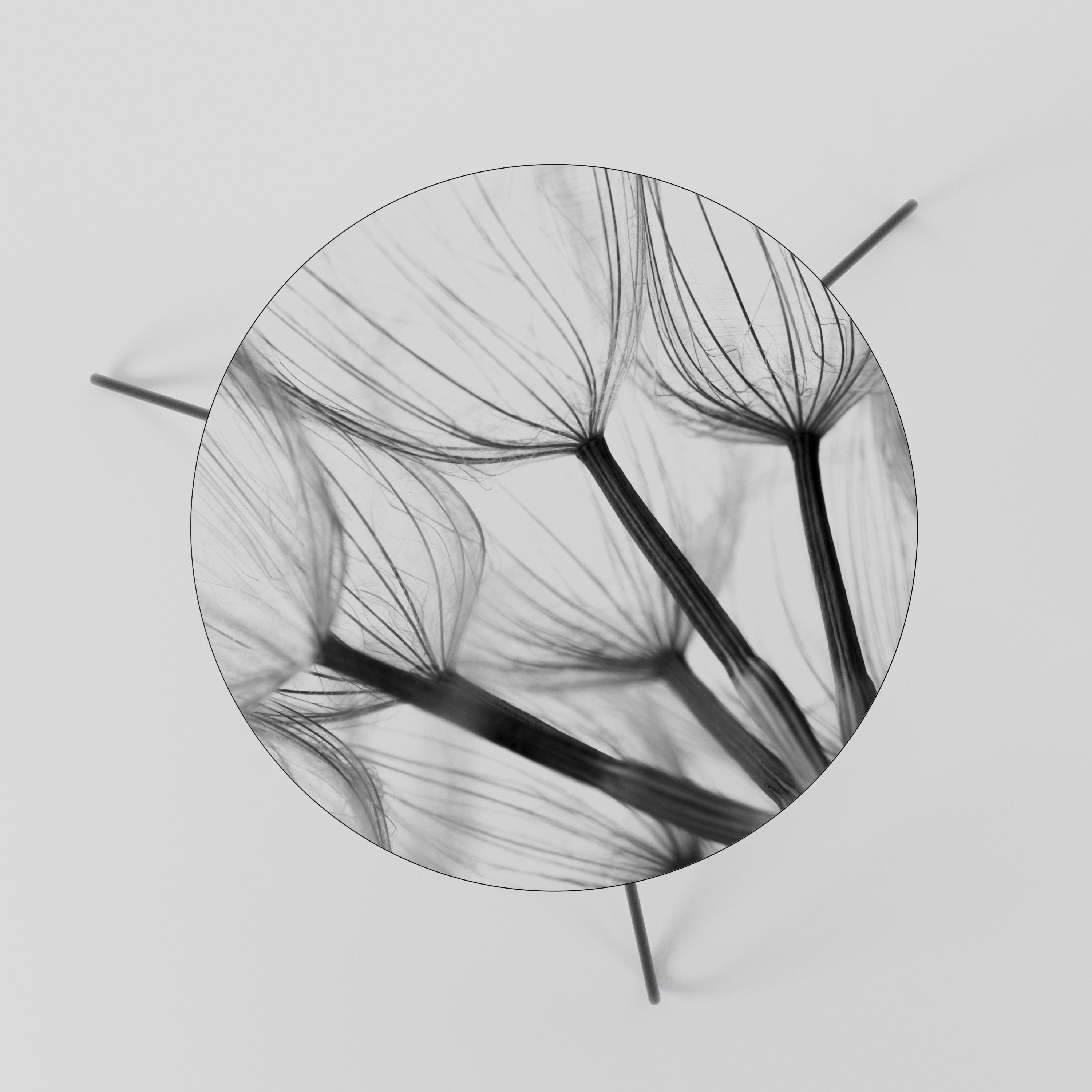 SILKEN FLIGHT Couchtisch 60