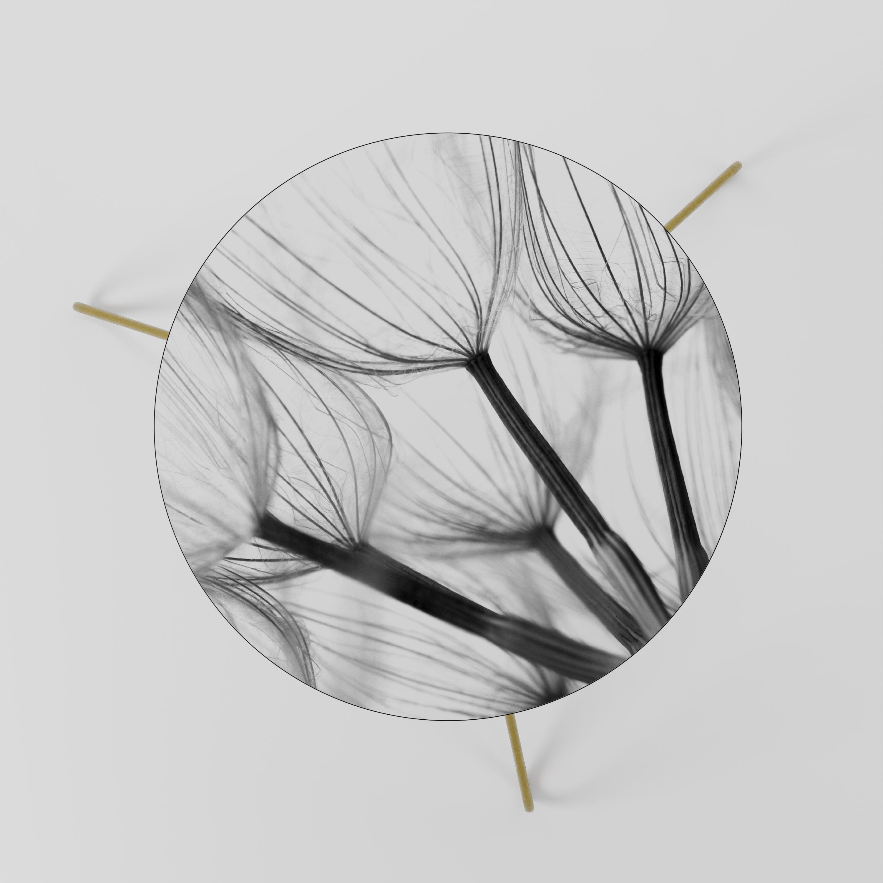 SILKEN FLIGHT Couchtisch 60