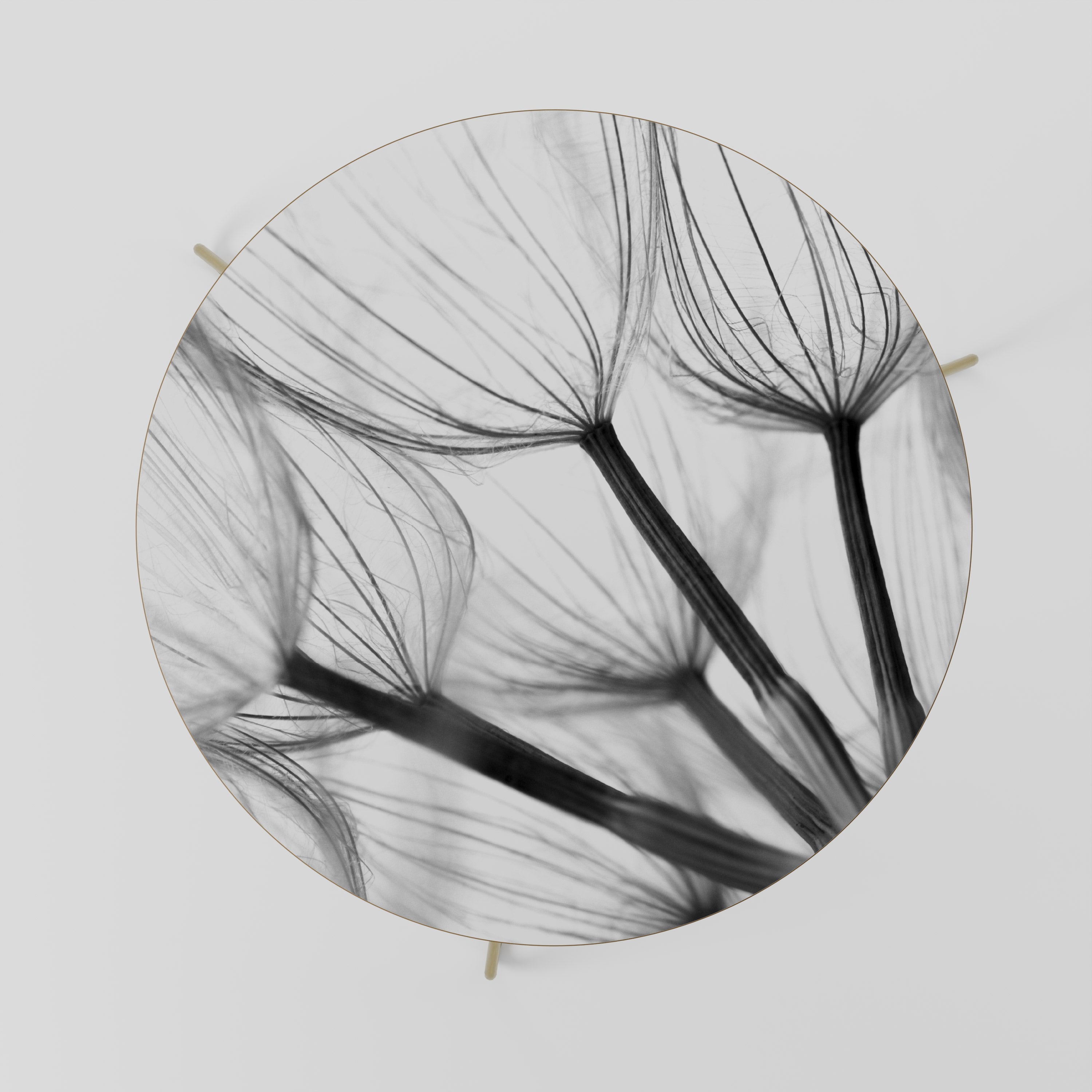 SILKEN FLIGHT Couchtisch 69