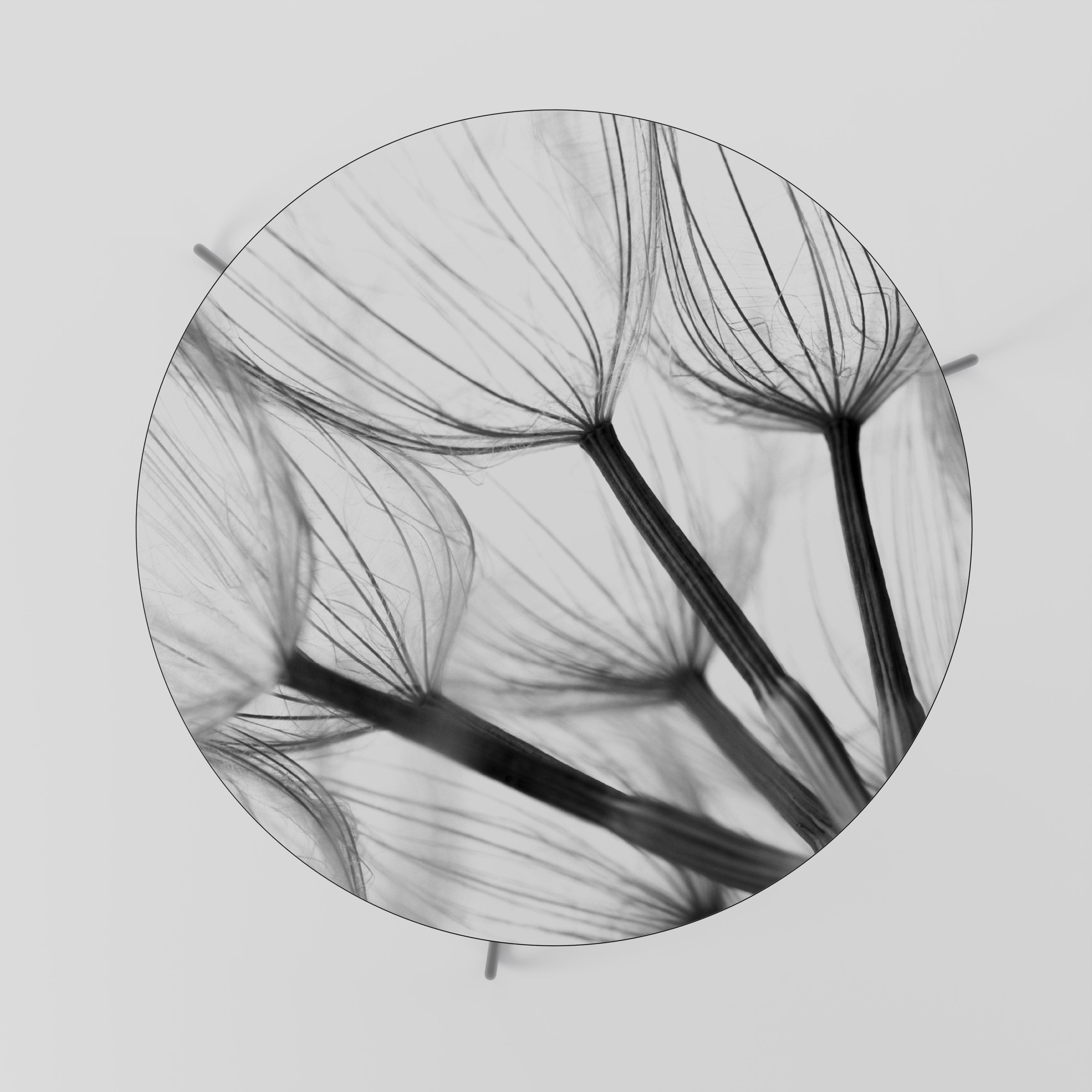 SILKEN FLIGHT Couchtisch 69