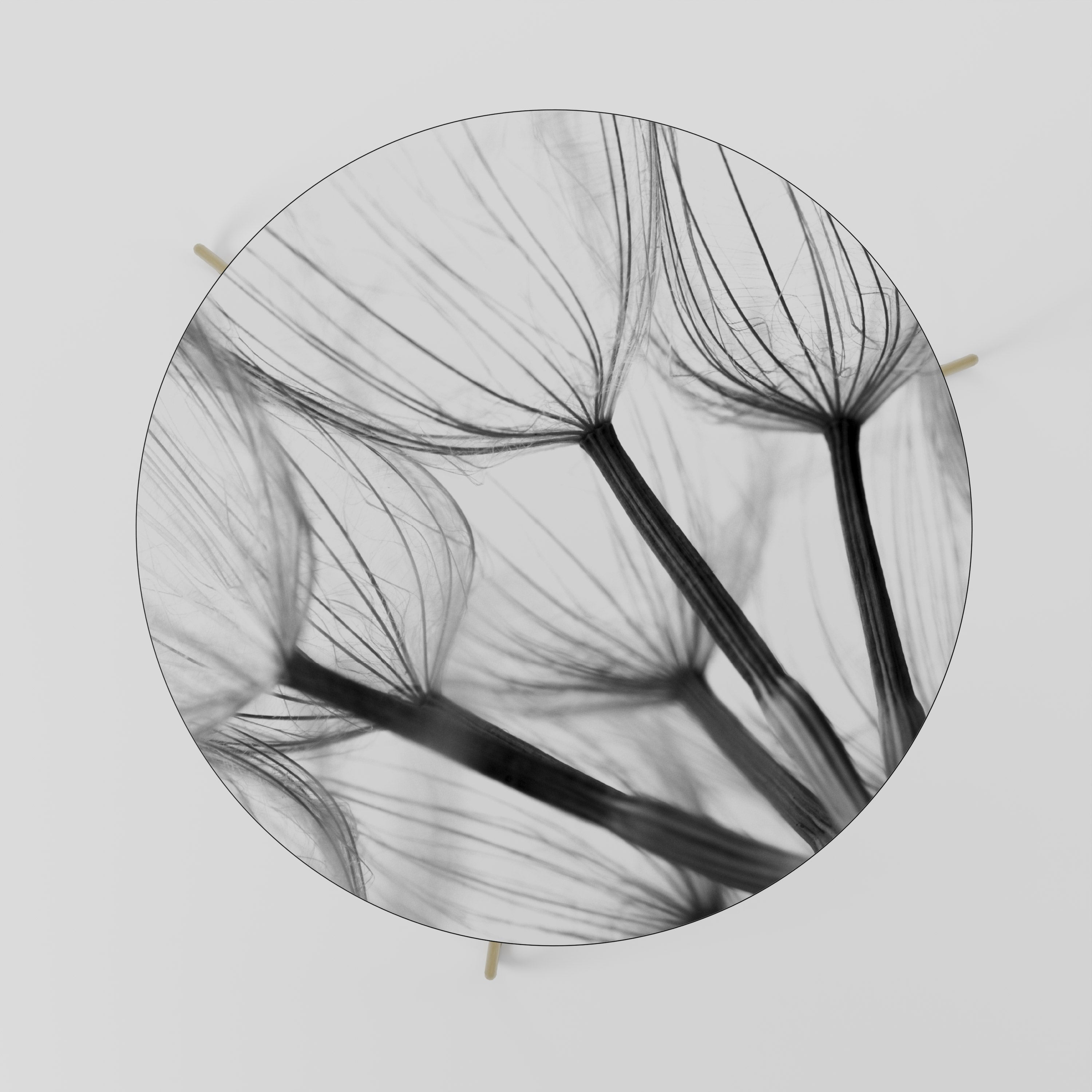 SILKEN FLIGHT Couchtisch 69