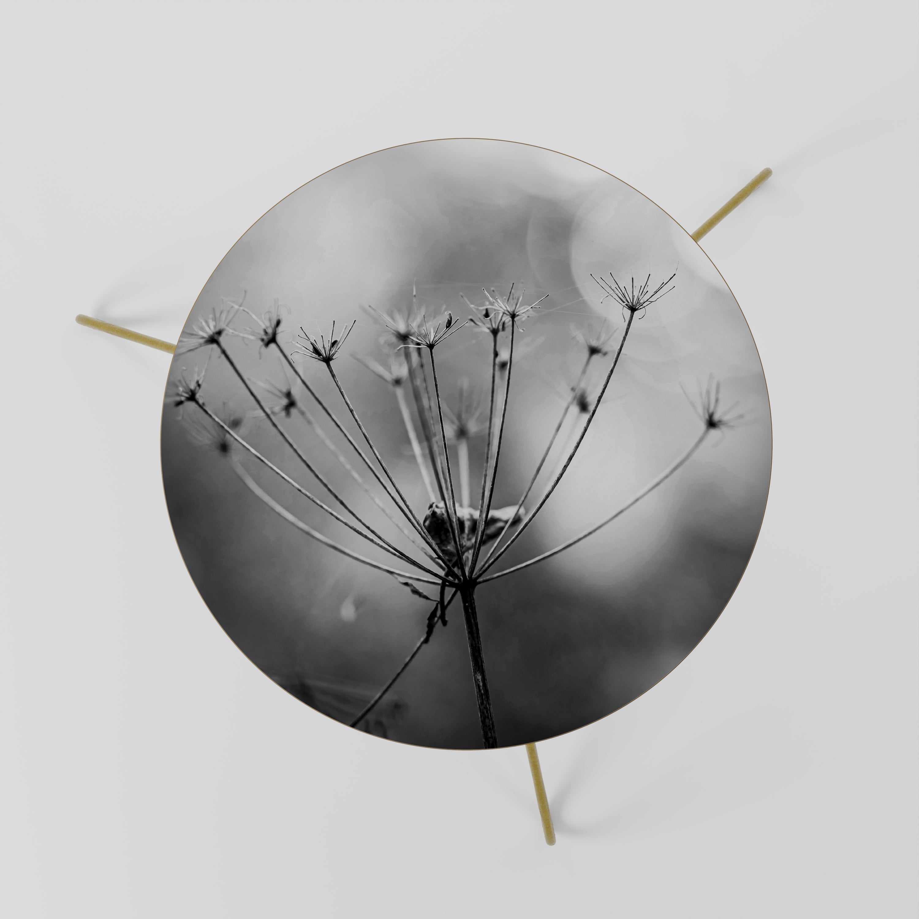 MINIMALIST BLOOM Couchtisch 60