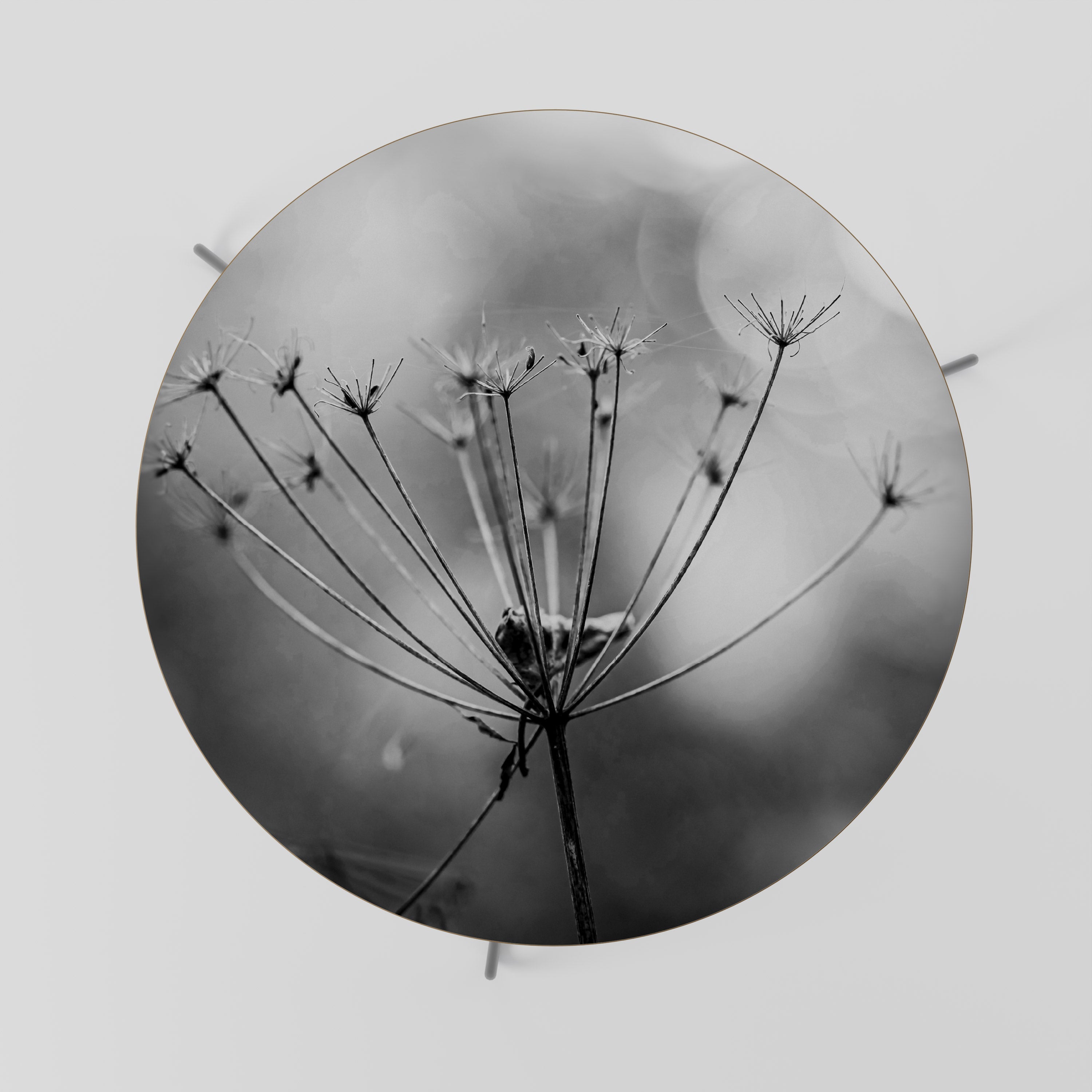 MINIMALIST BLOOM Couchtisch 69