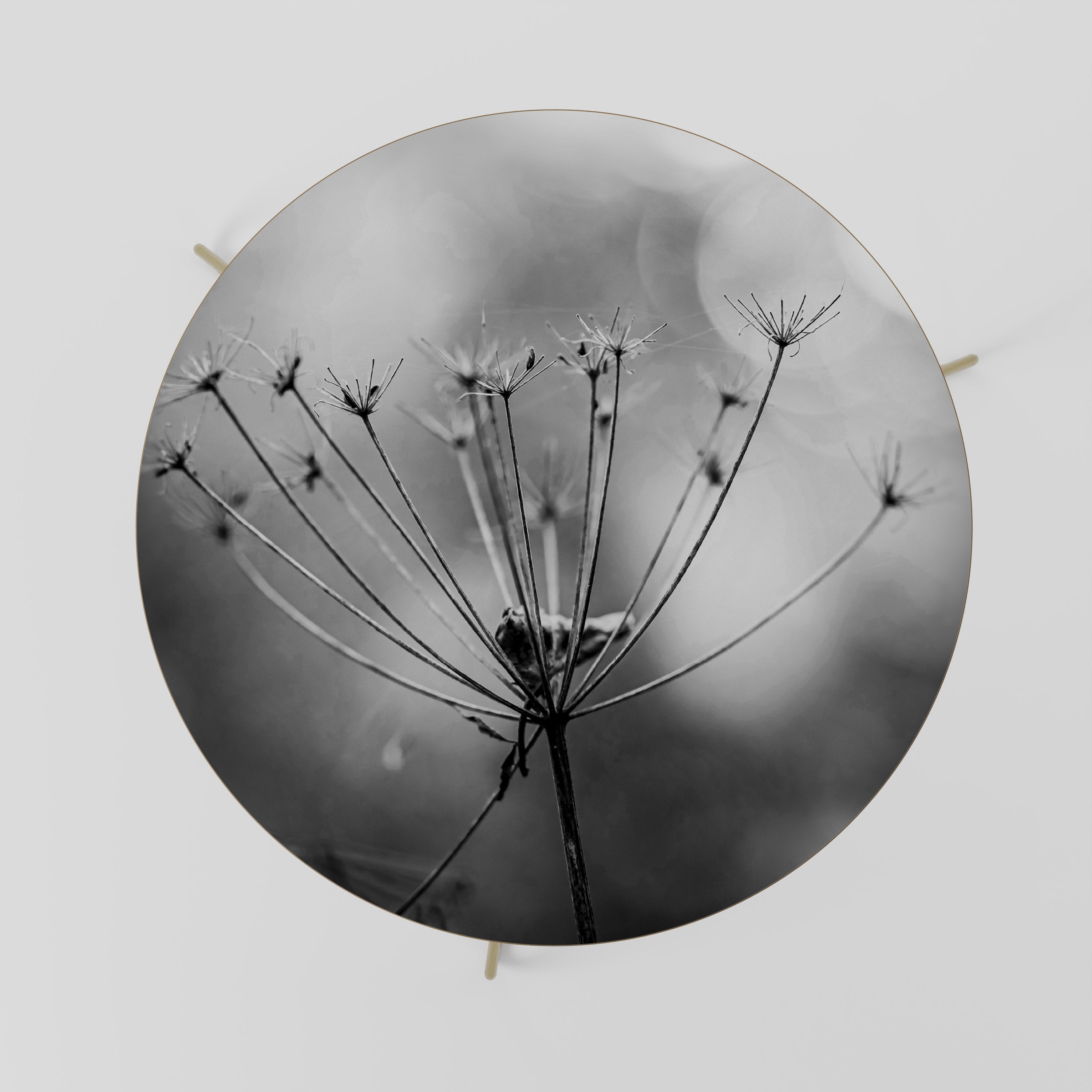 MINIMALIST BLOOM Couchtisch 69