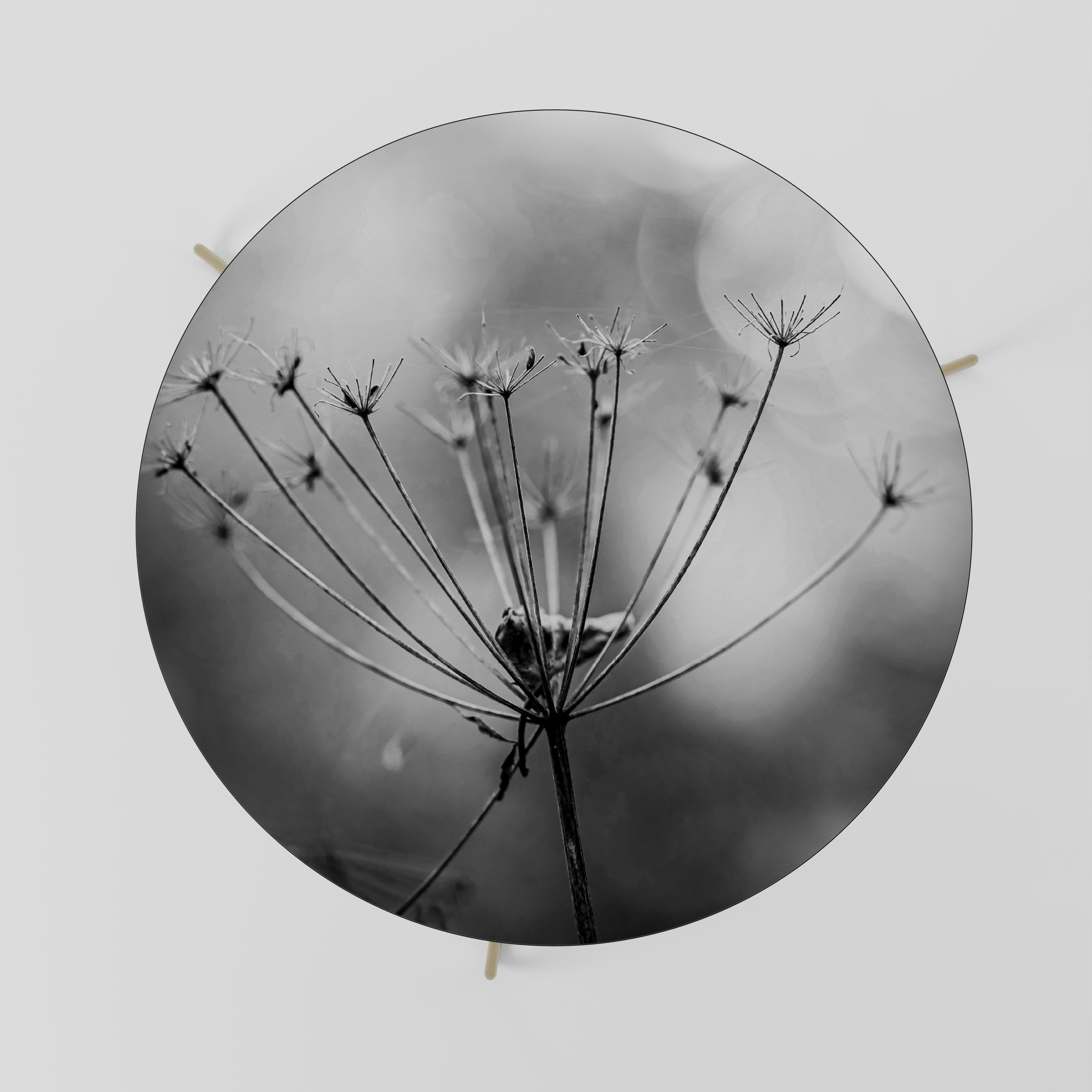 MINIMALIST BLOOM Couchtisch 69