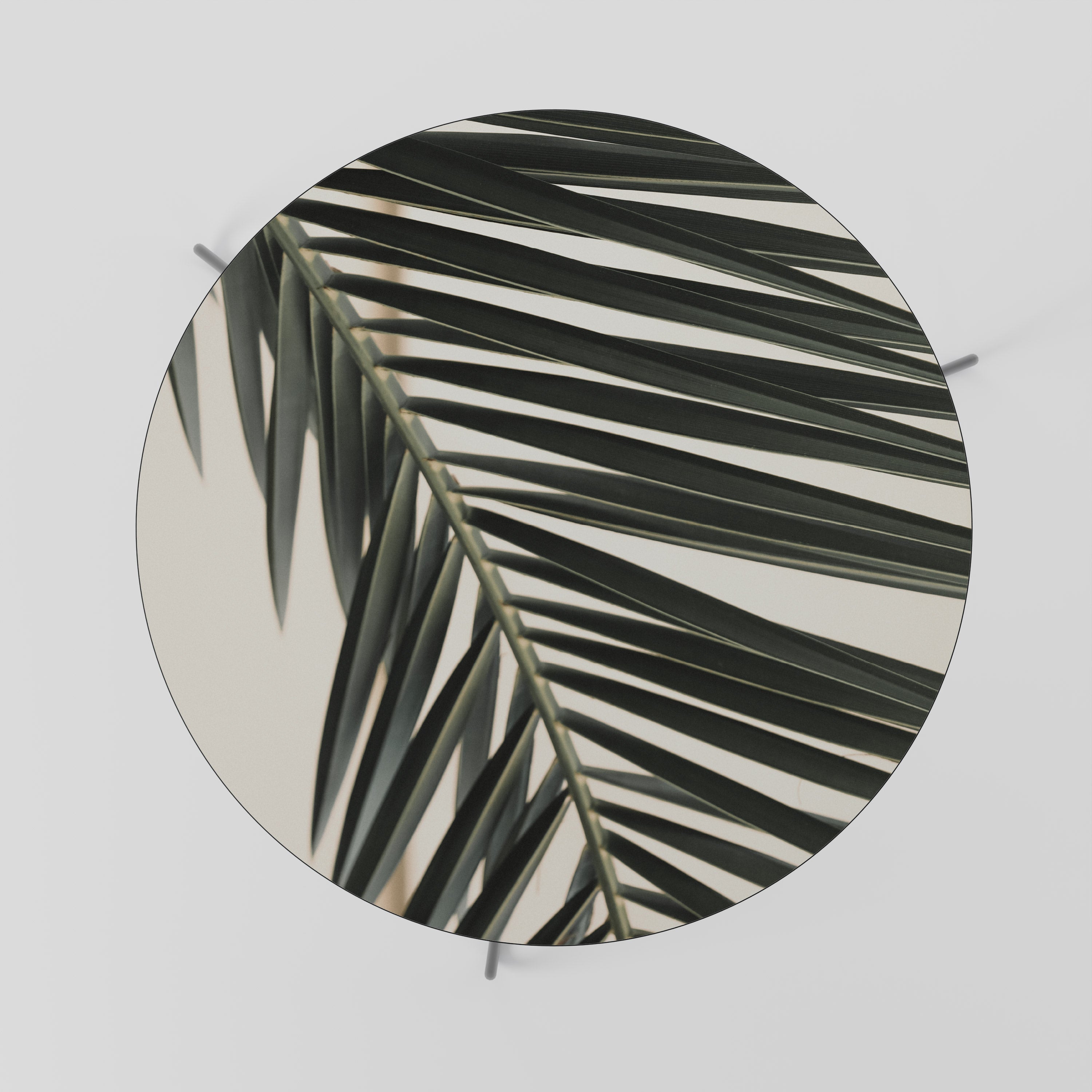 PALM SYMPHONY Couchtisch 69