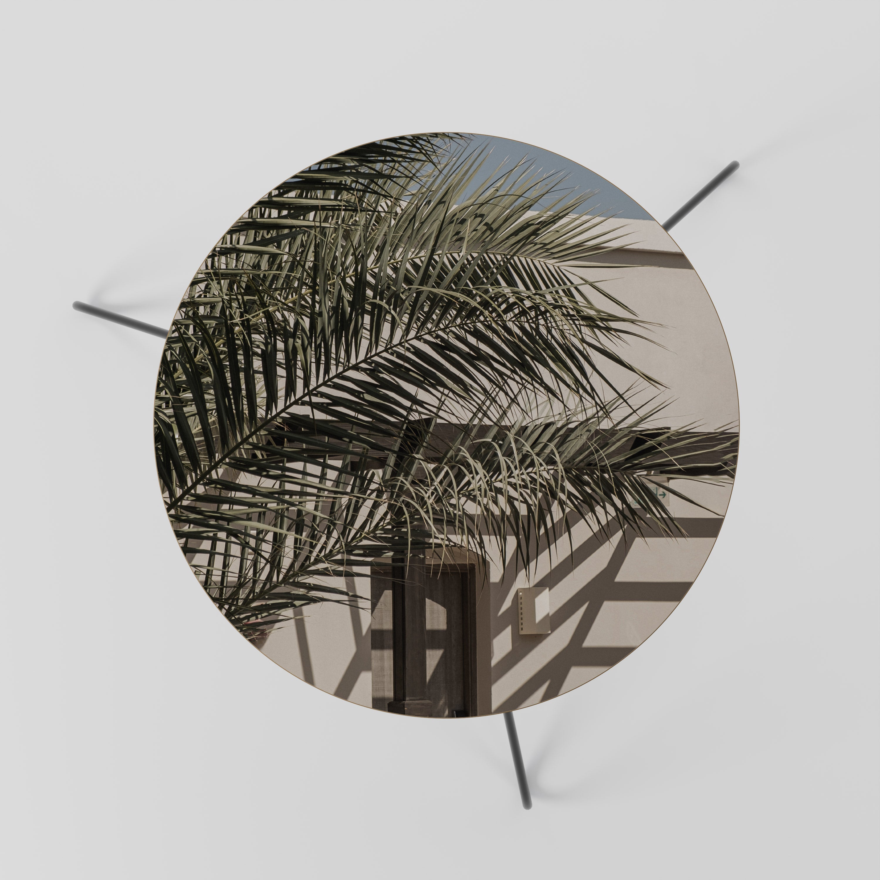 PALM SHADOW DANCE Couchtisch 60