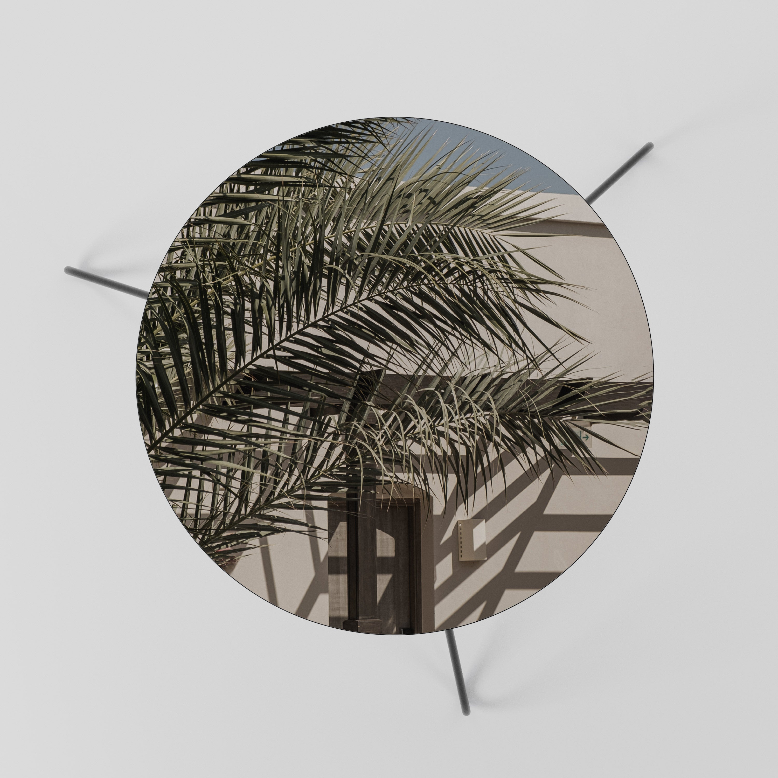 PALM SHADOW DANCE Couchtisch 60