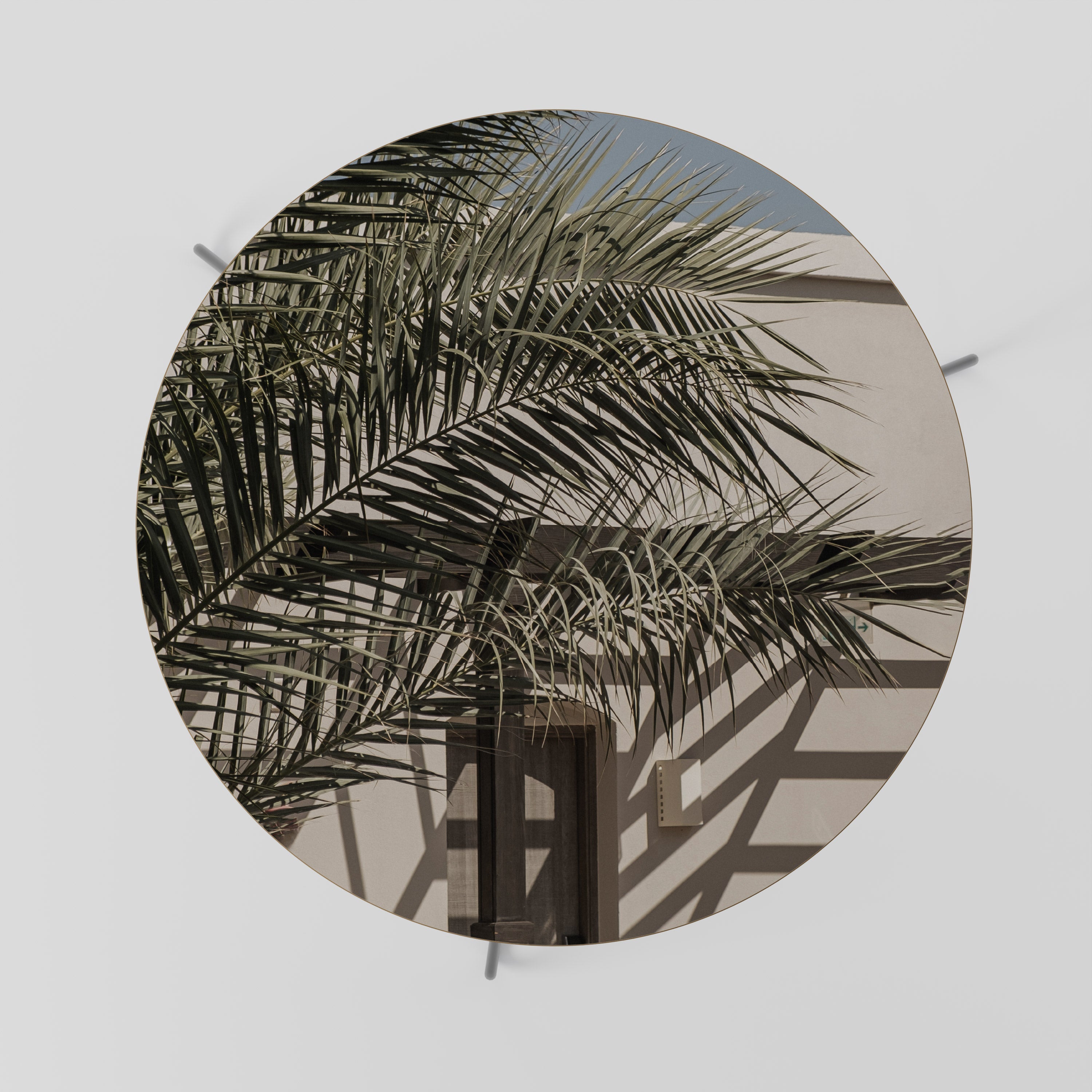 PALM SHADOW DANCE Couchtisch 69