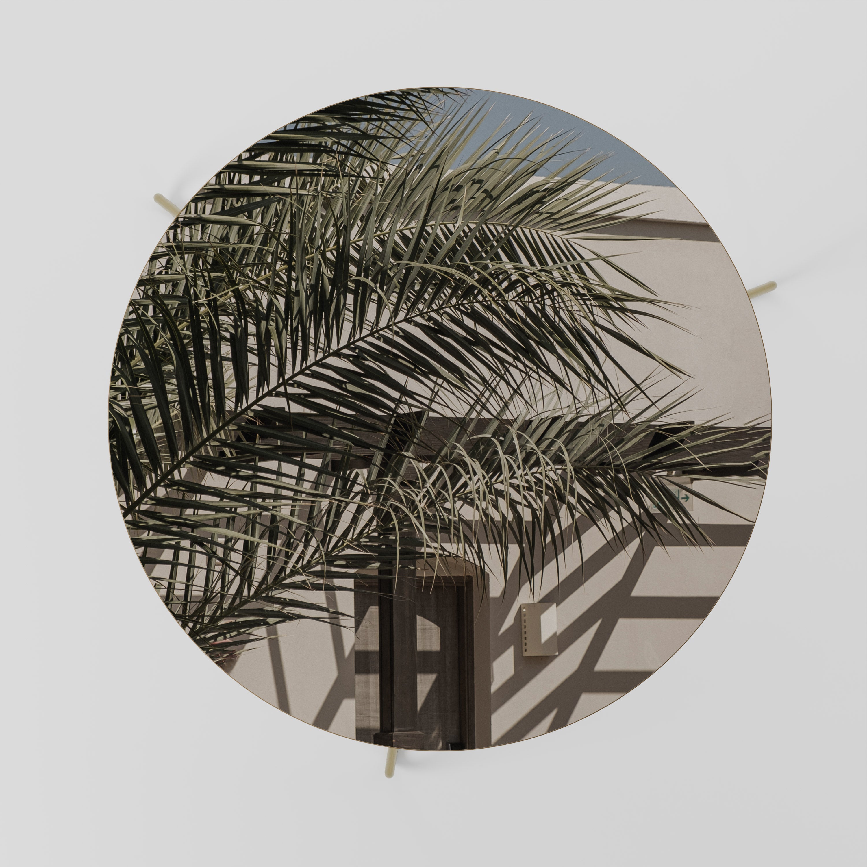 PALM SHADOW DANCE Couchtisch 69