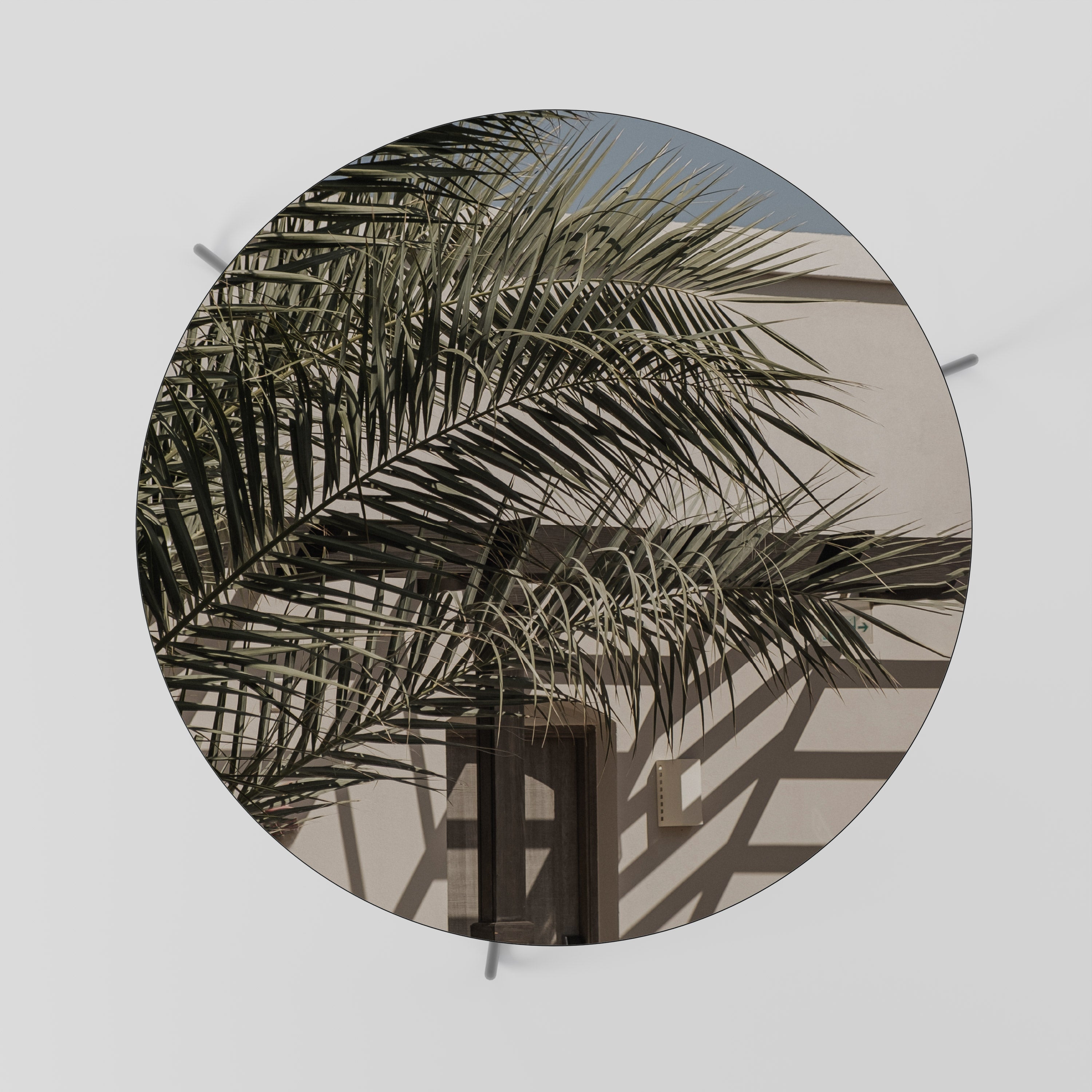 PALM SHADOW DANCE Couchtisch 69