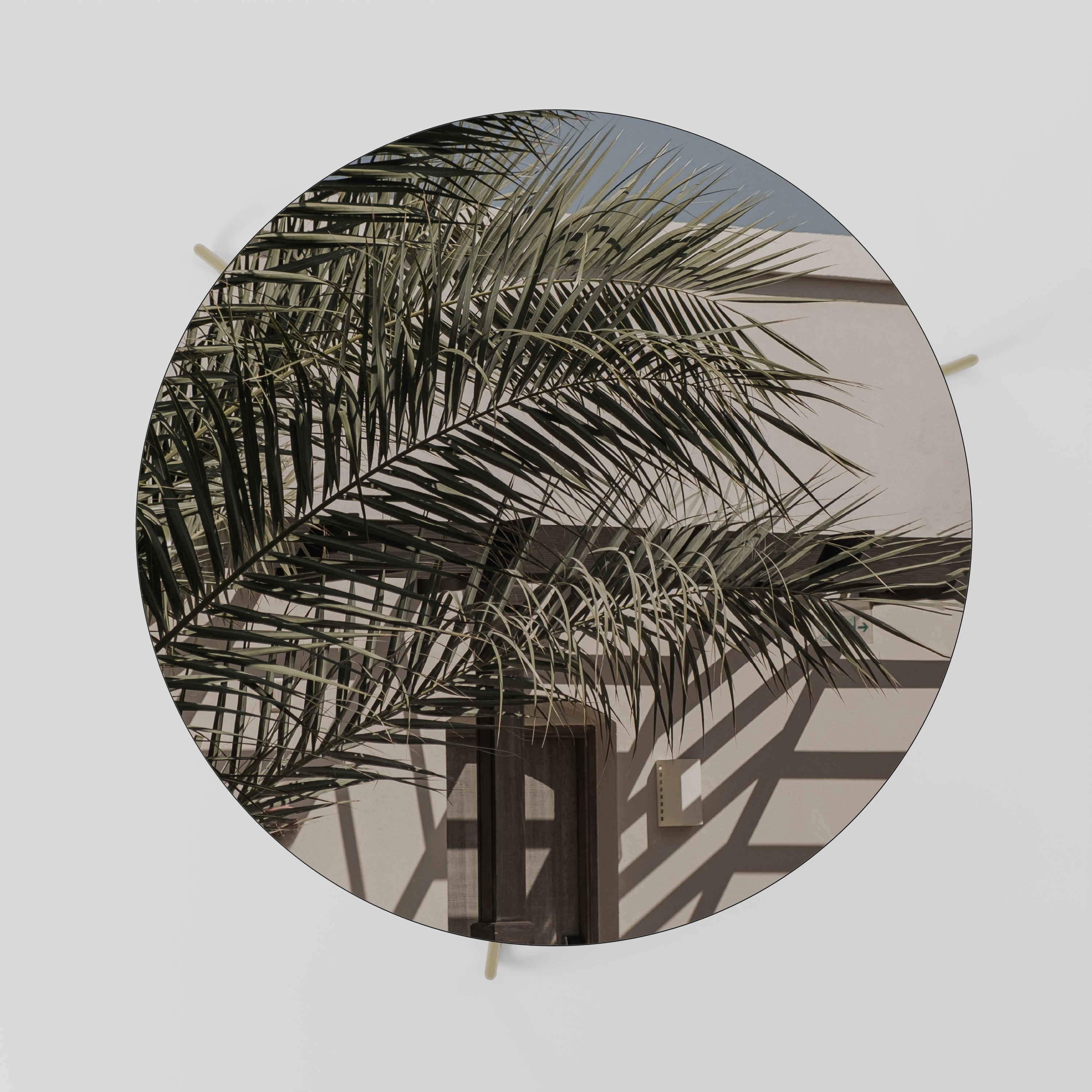 PALM SHADOW DANCE Couchtisch 69