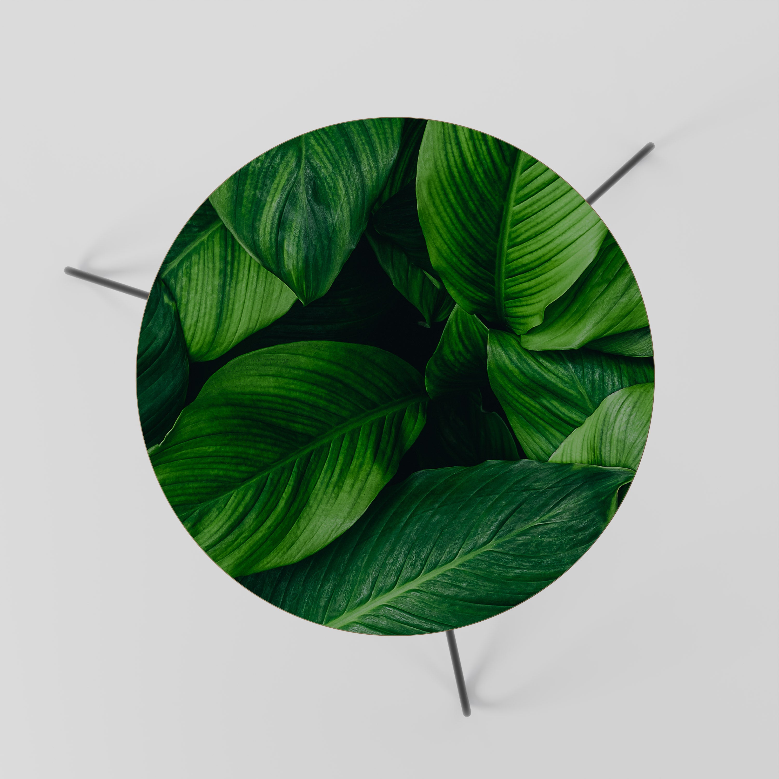 VIBRANT LEAFY EMBRACE Couchtisch 60