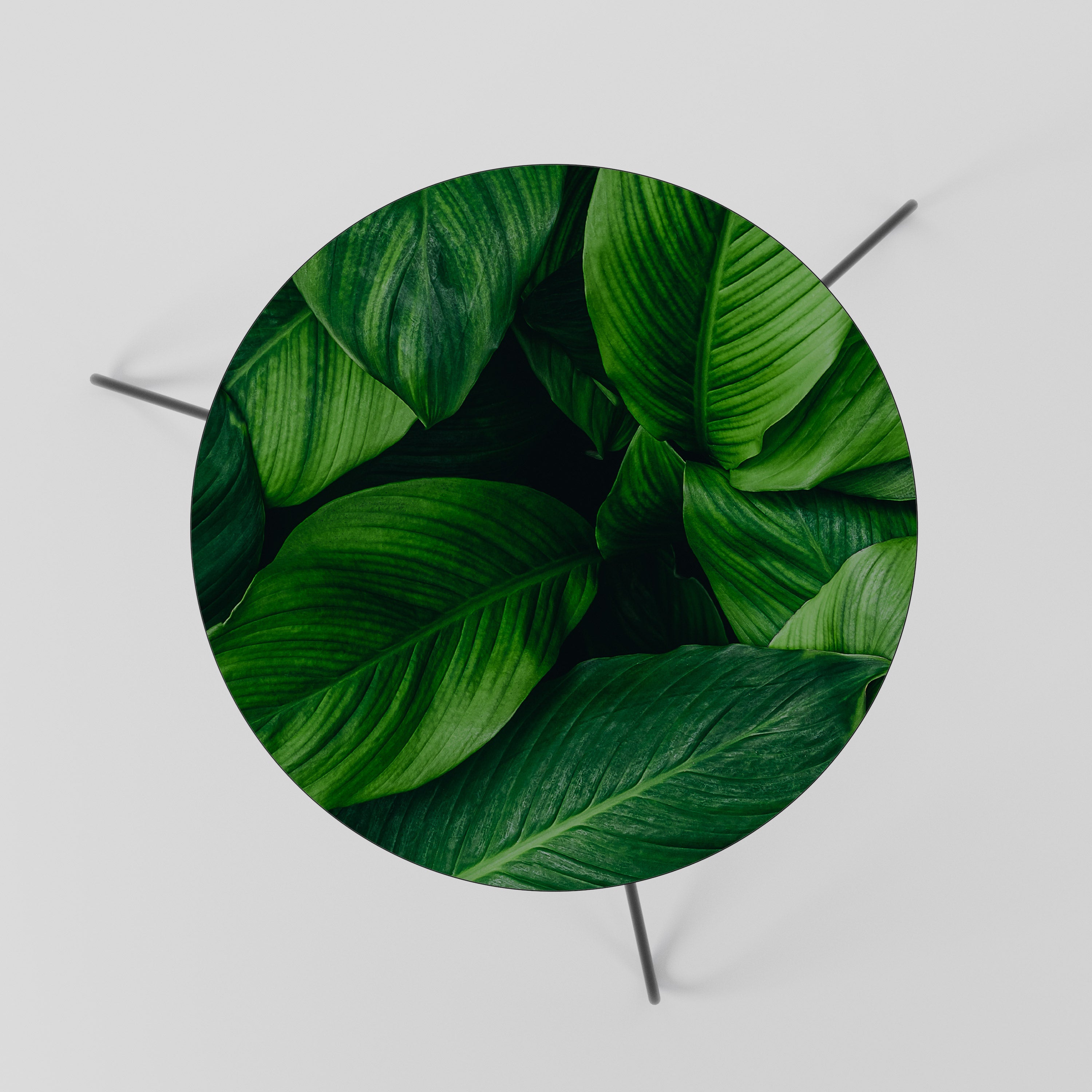 VIBRANT LEAFY EMBRACE Couchtisch 60