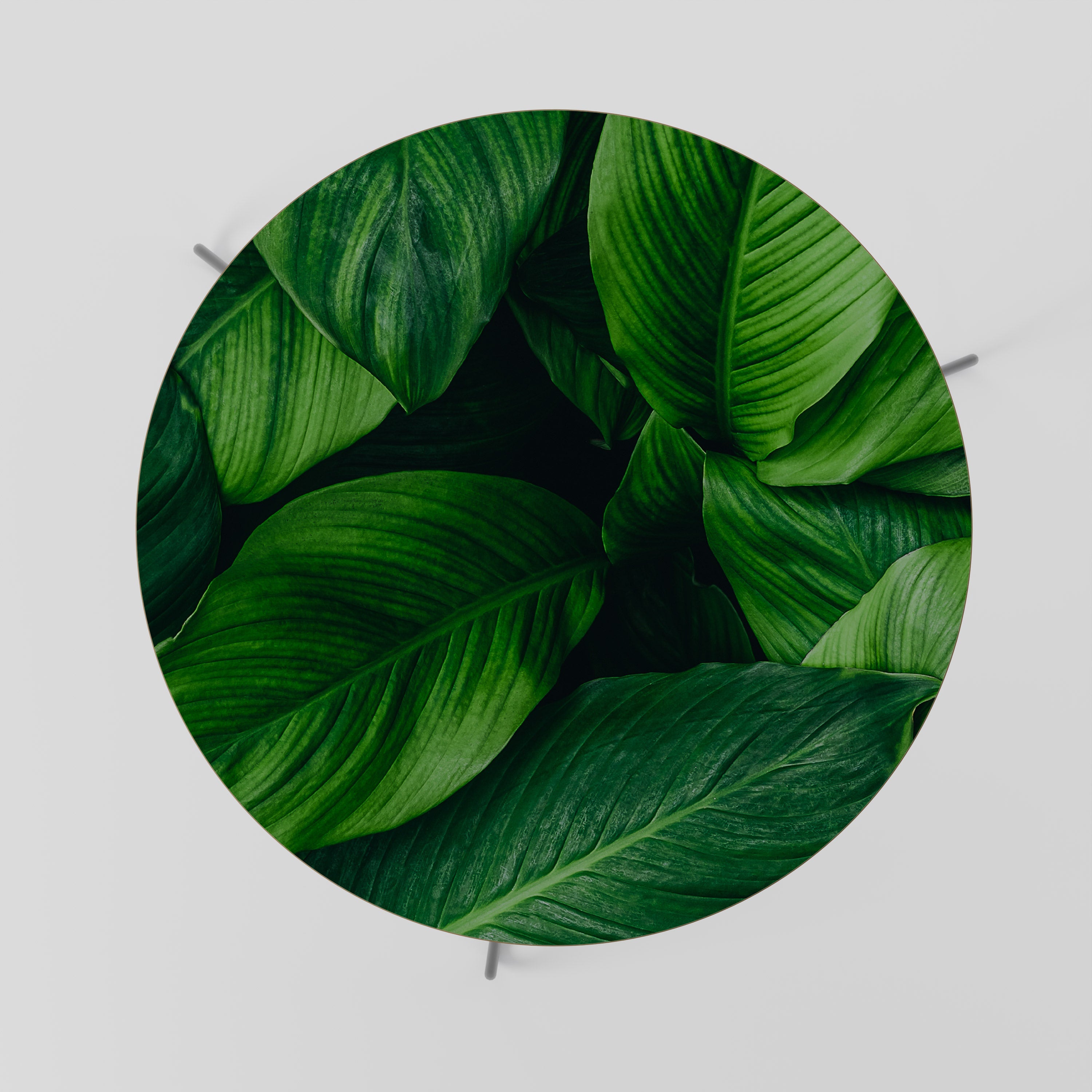 VIBRANT LEAFY EMBRACE Couchtisch 69