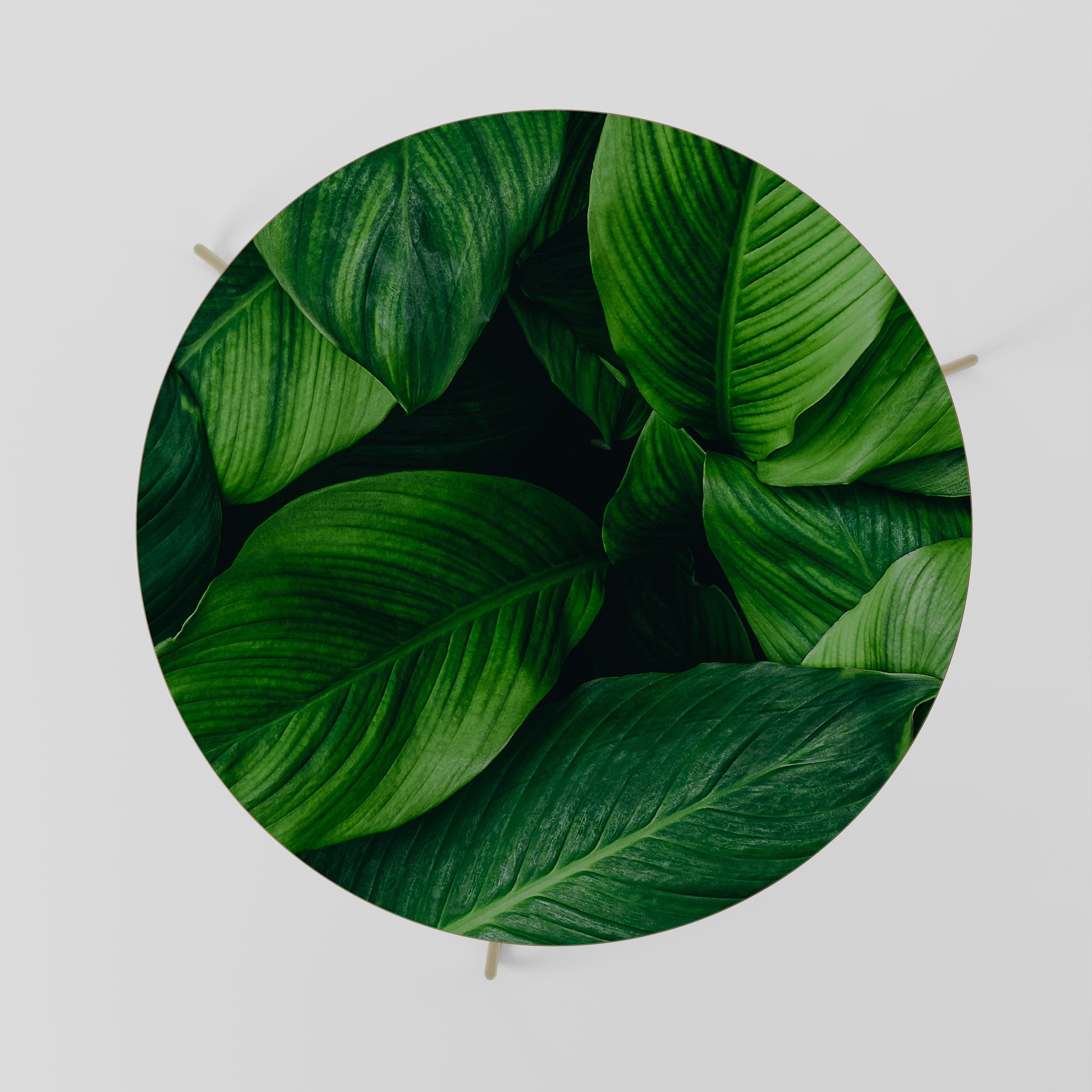 VIBRANT LEAFY EMBRACE Couchtisch 69