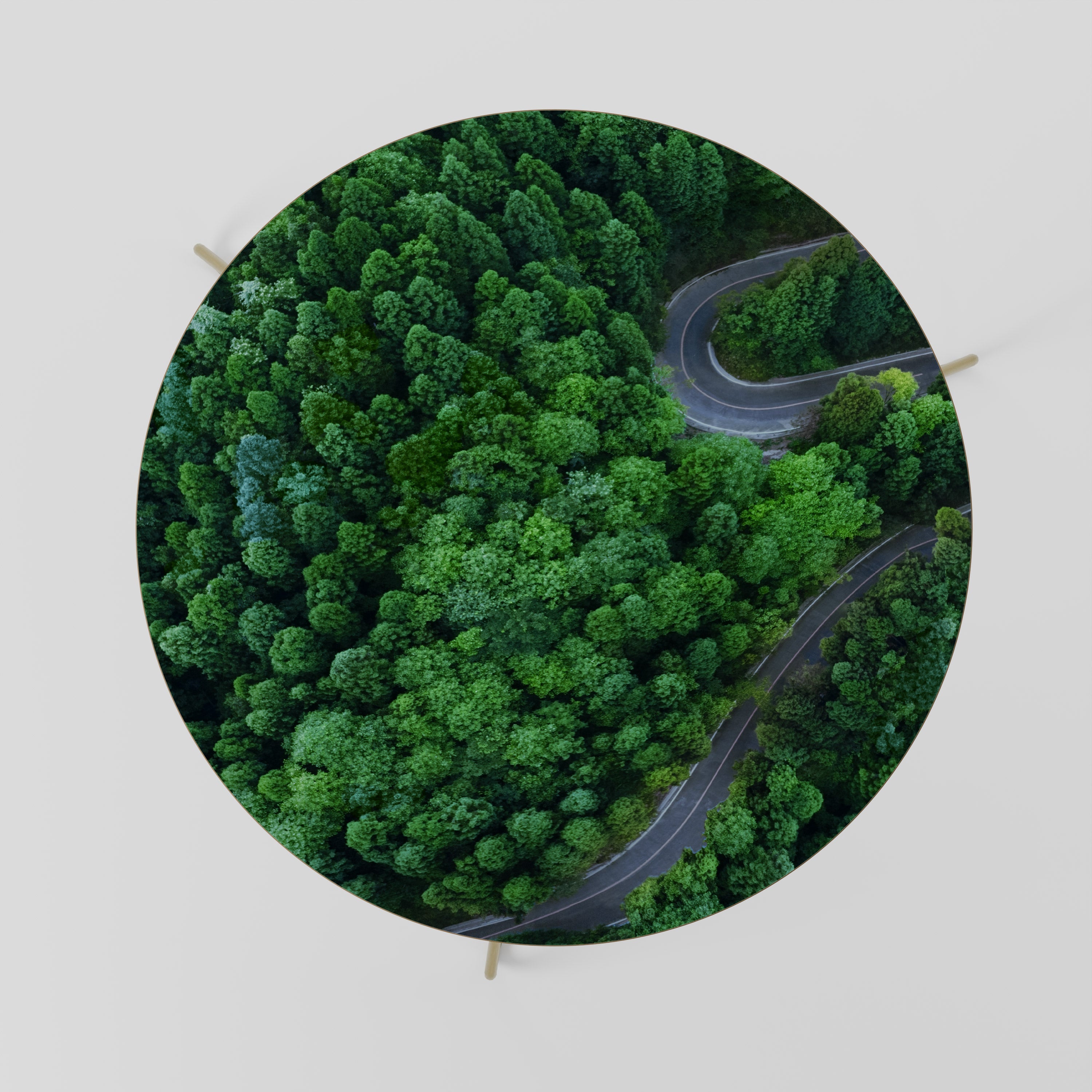 ENCHANTED FOREST RIDE Couchtisch 69