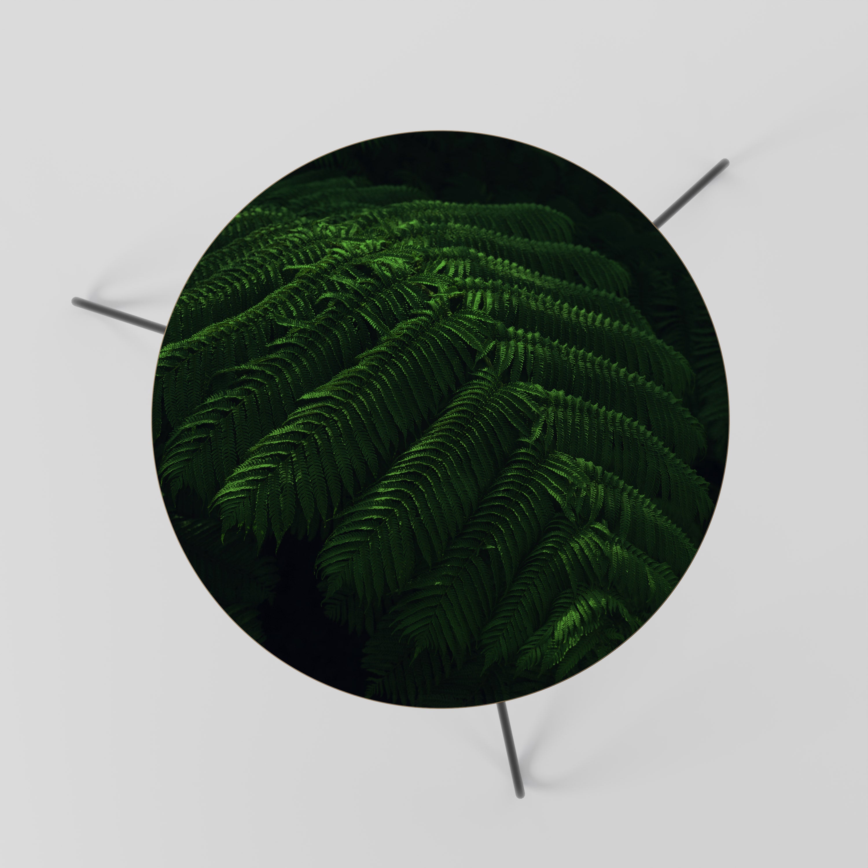 FERN FANTASY Couchtisch 60