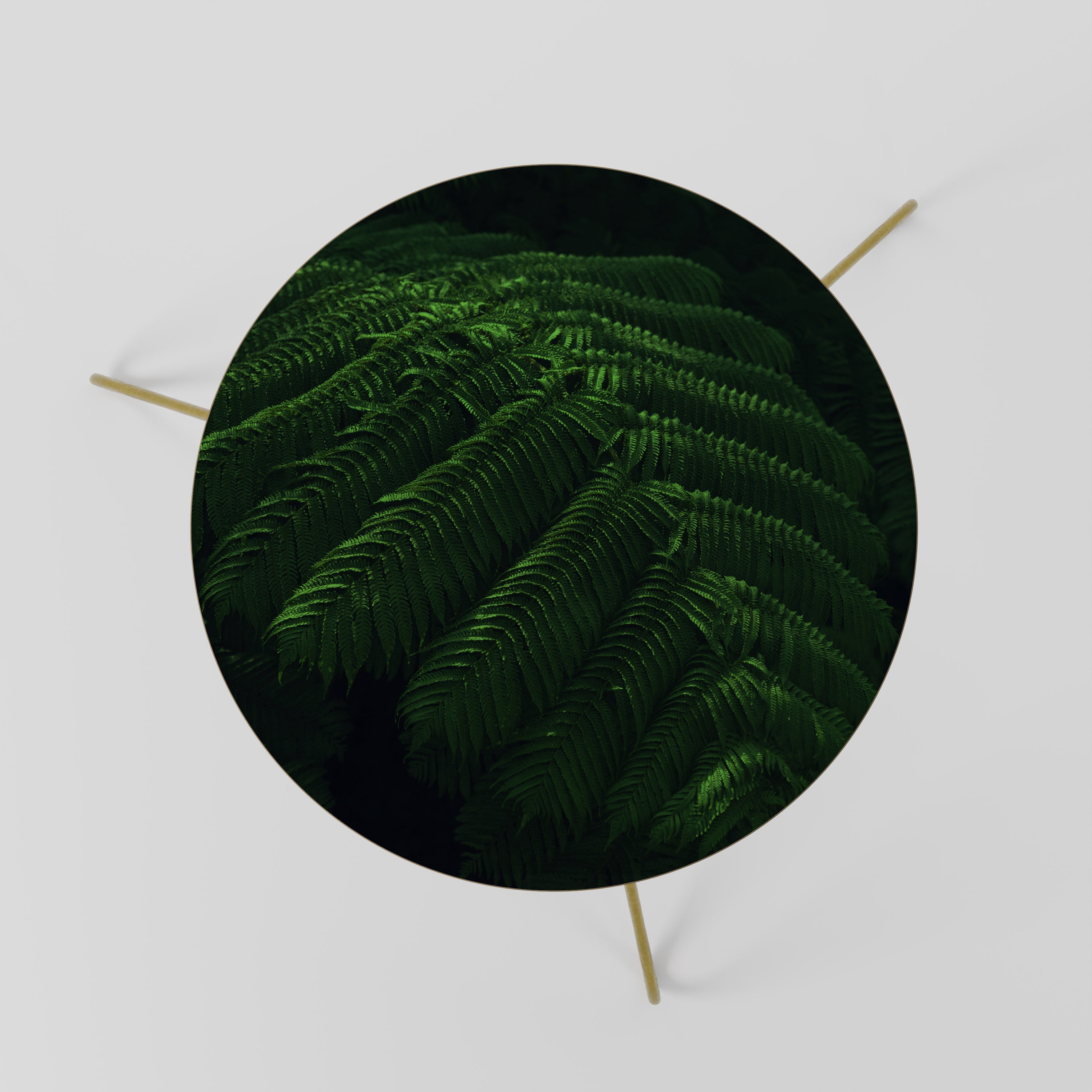 FERN FANTASY Couchtisch 60