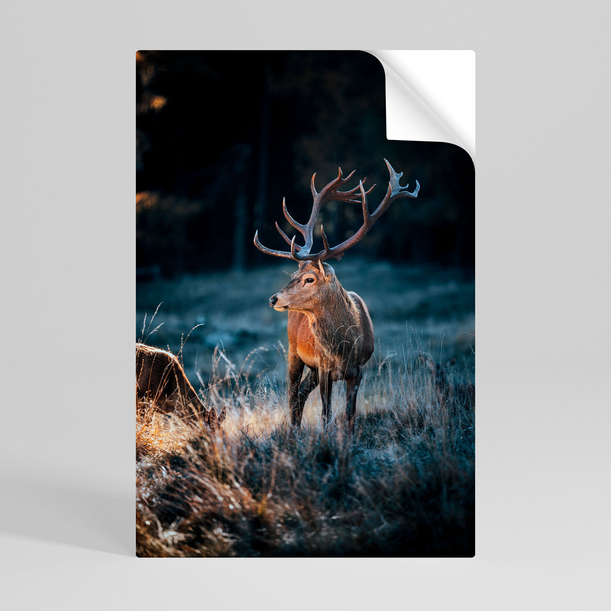 ANTLERED REGALITY Peel and Stick Vertical Poster