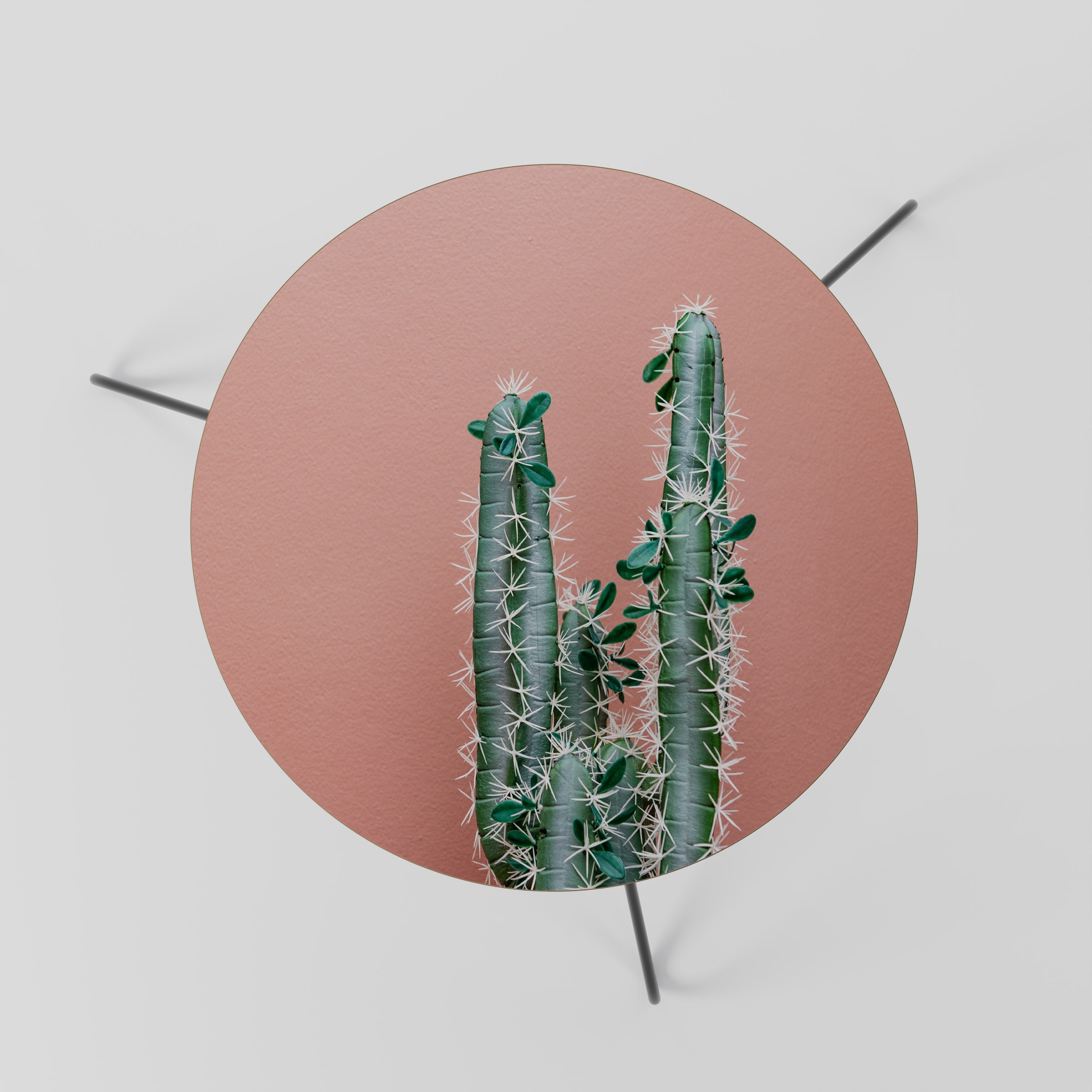 LORD CACTUS Couchtisch 60