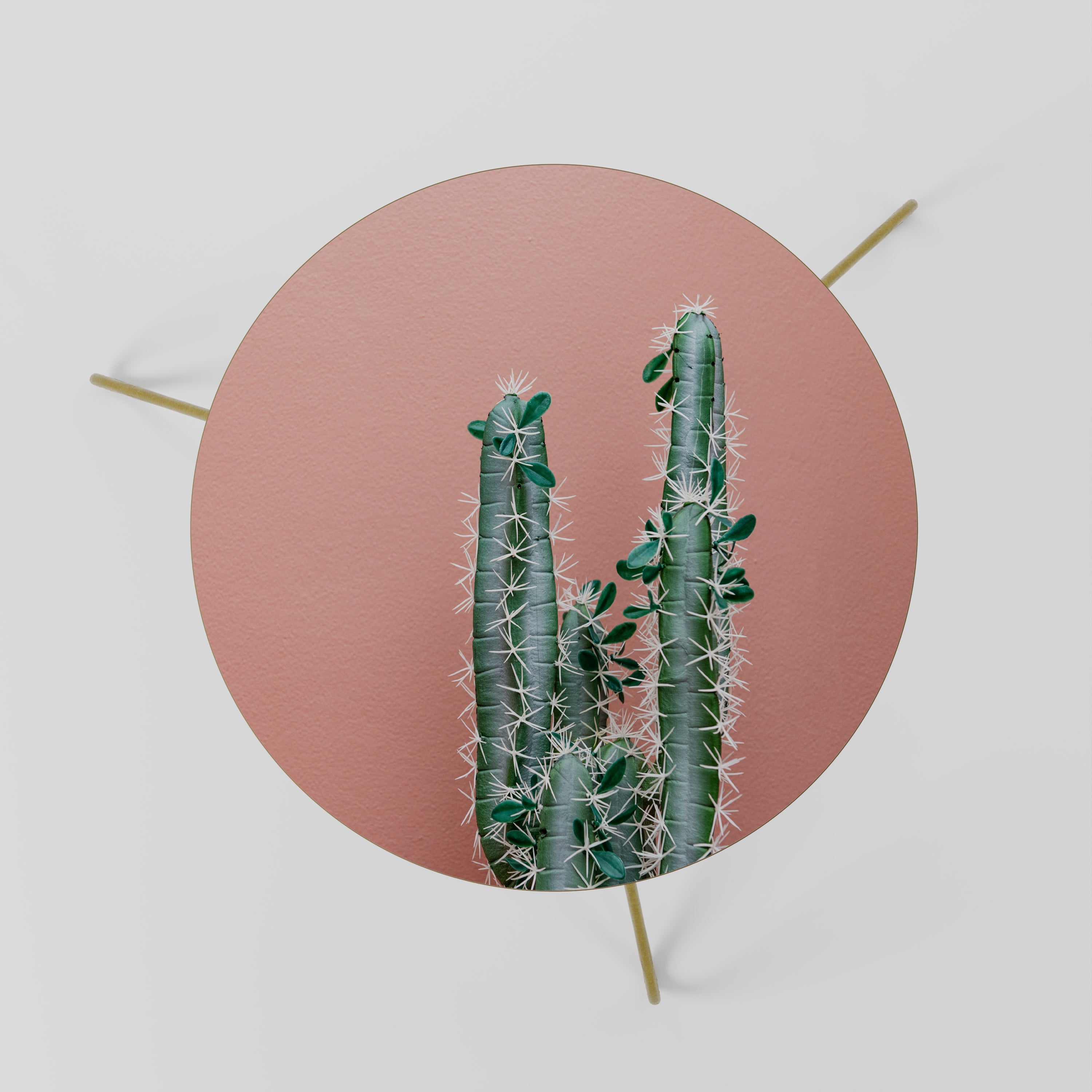 LORD CACTUS Couchtisch 60