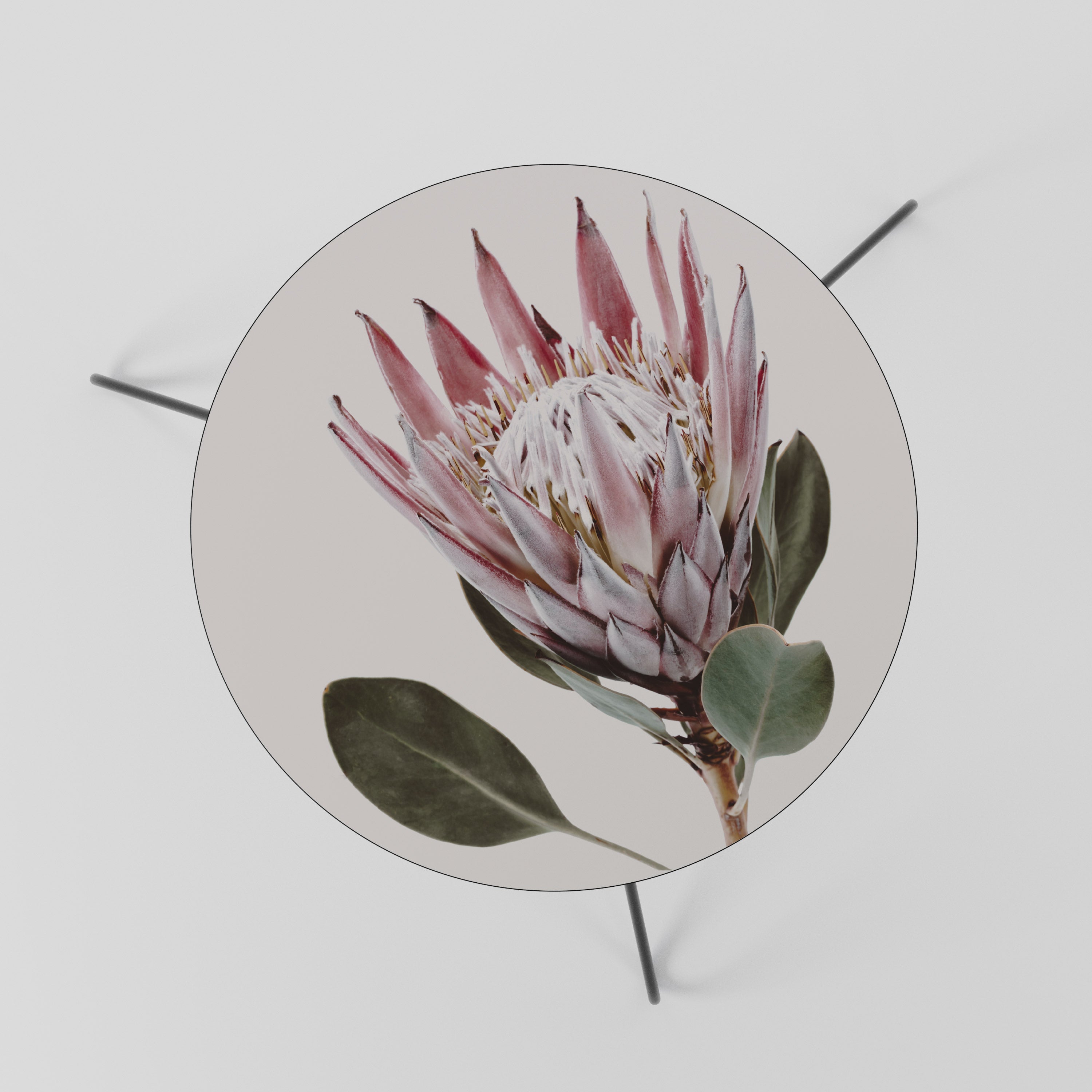 PROTEA FLOWER Couchtisch 60