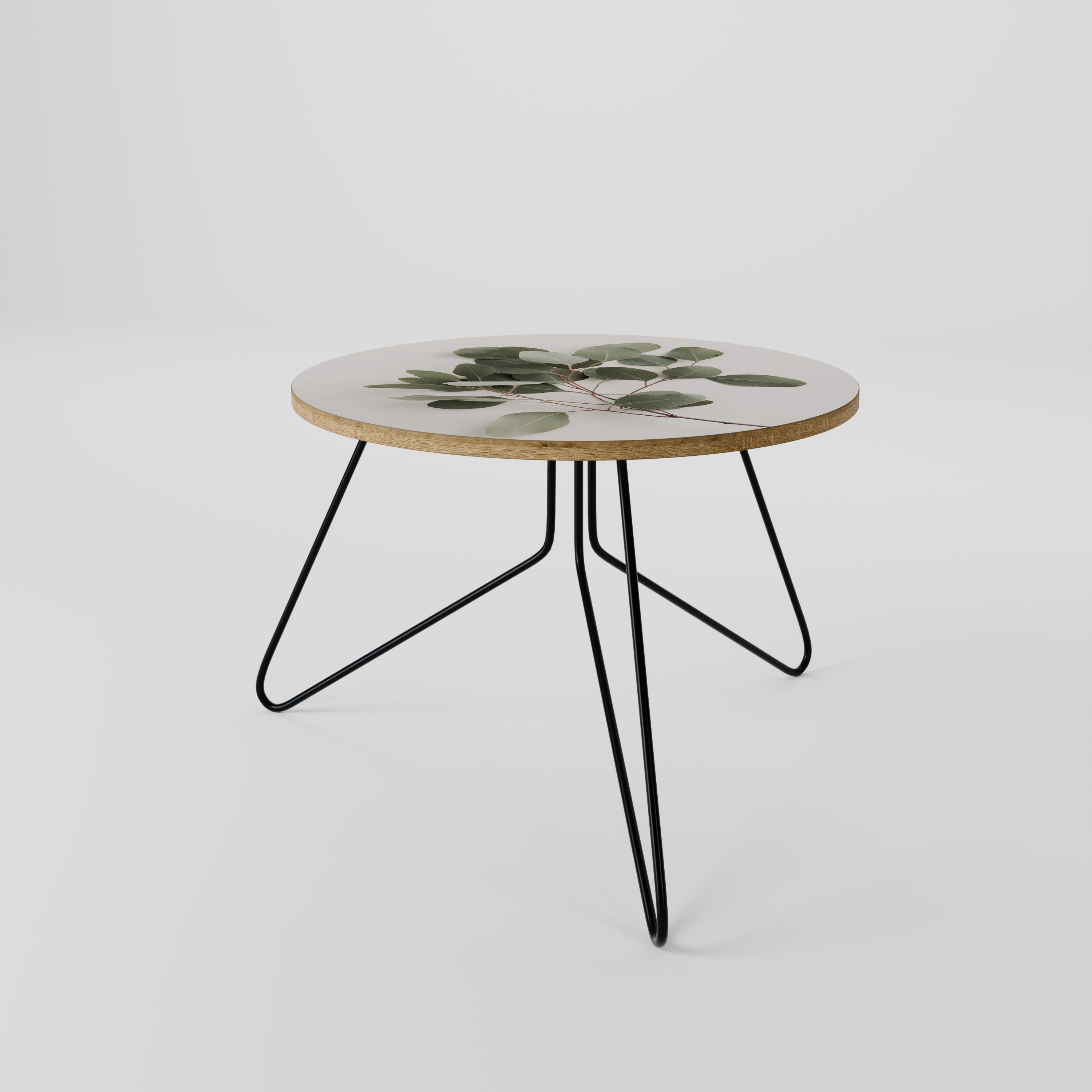 EUCALYPTUS BRANCH Couchtisch 60