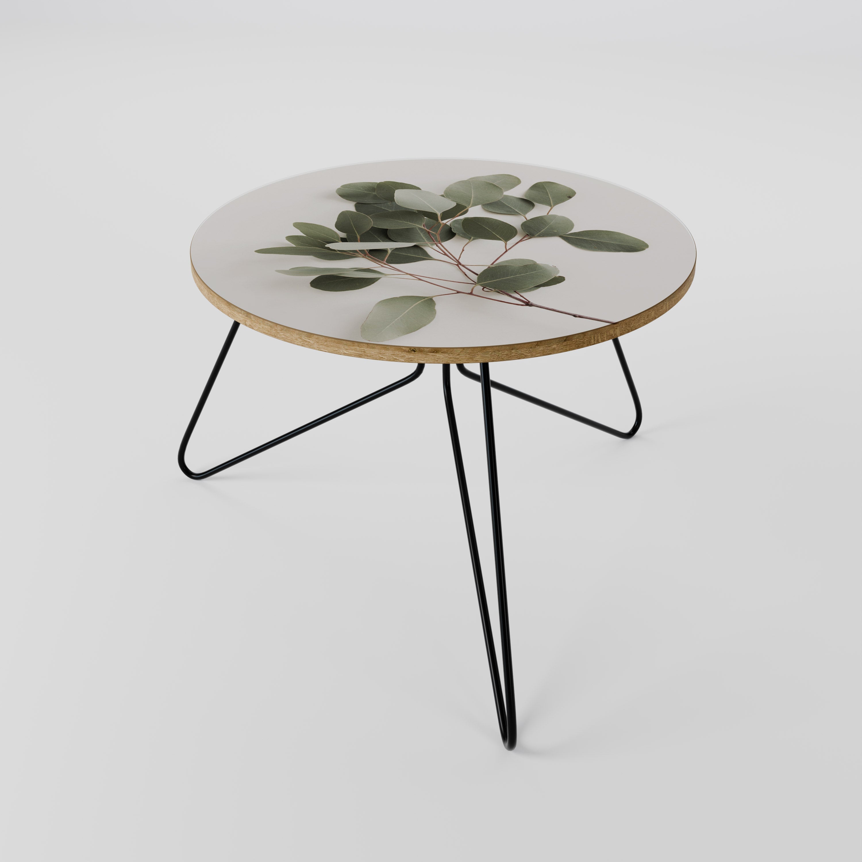 EUCALYPTUS BRANCH Couchtisch 60