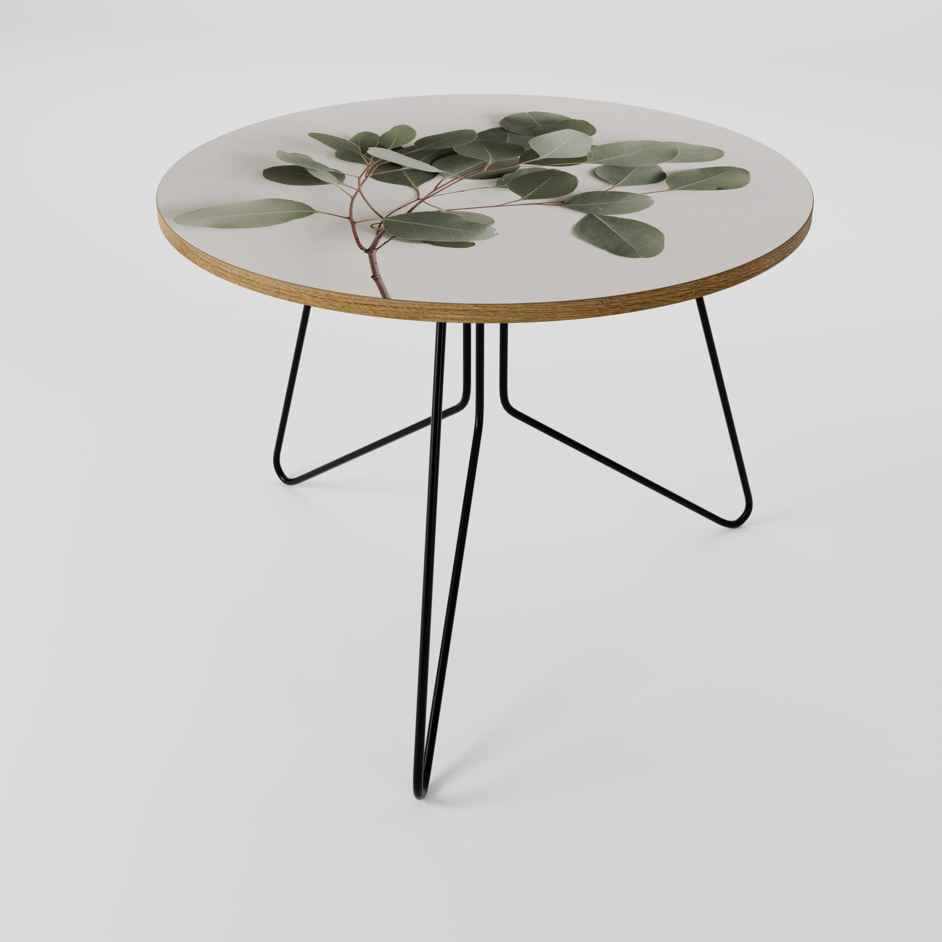 EUCALYPTUS BRANCH Couchtisch 69