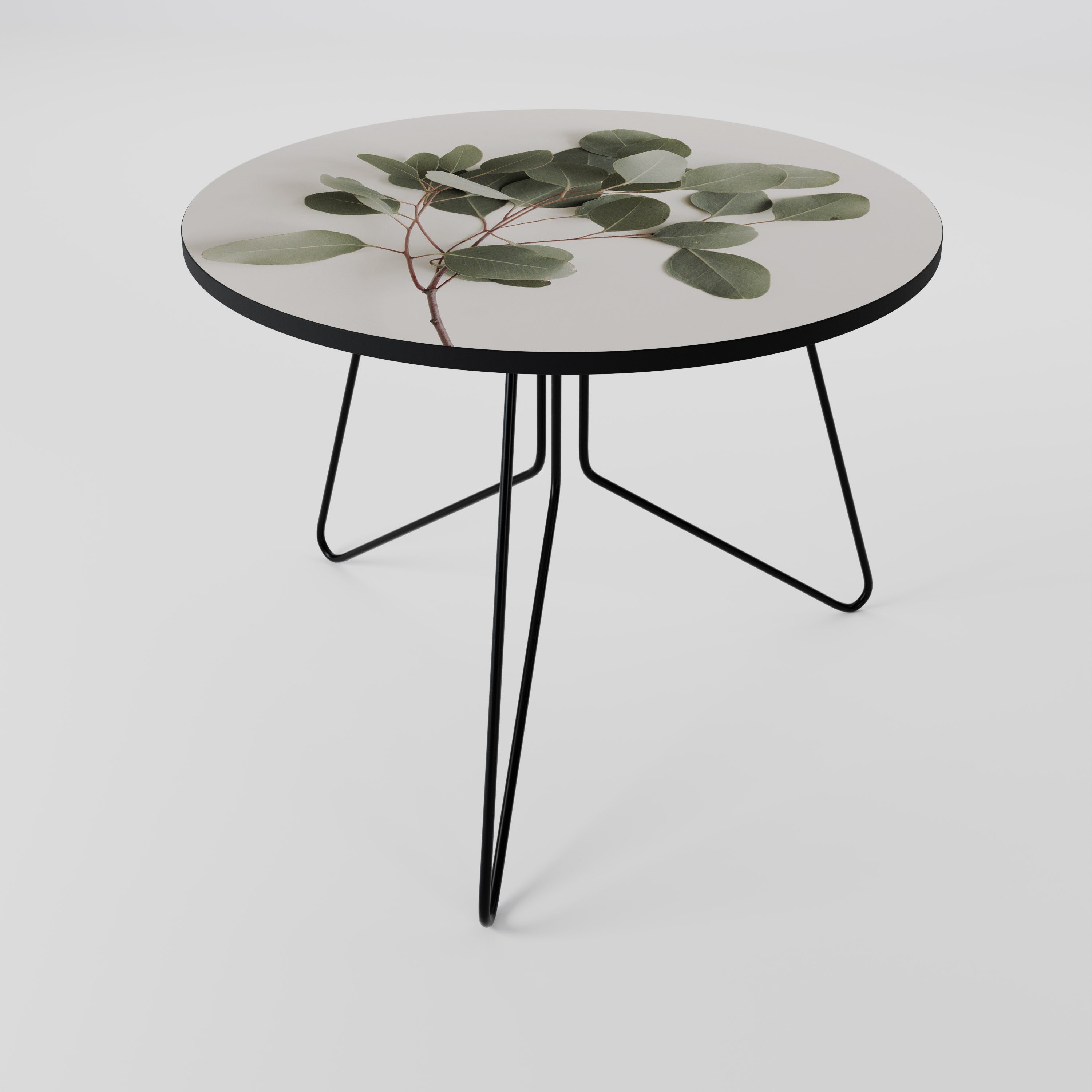 EUCALYPTUS BRANCH Couchtisch 69
