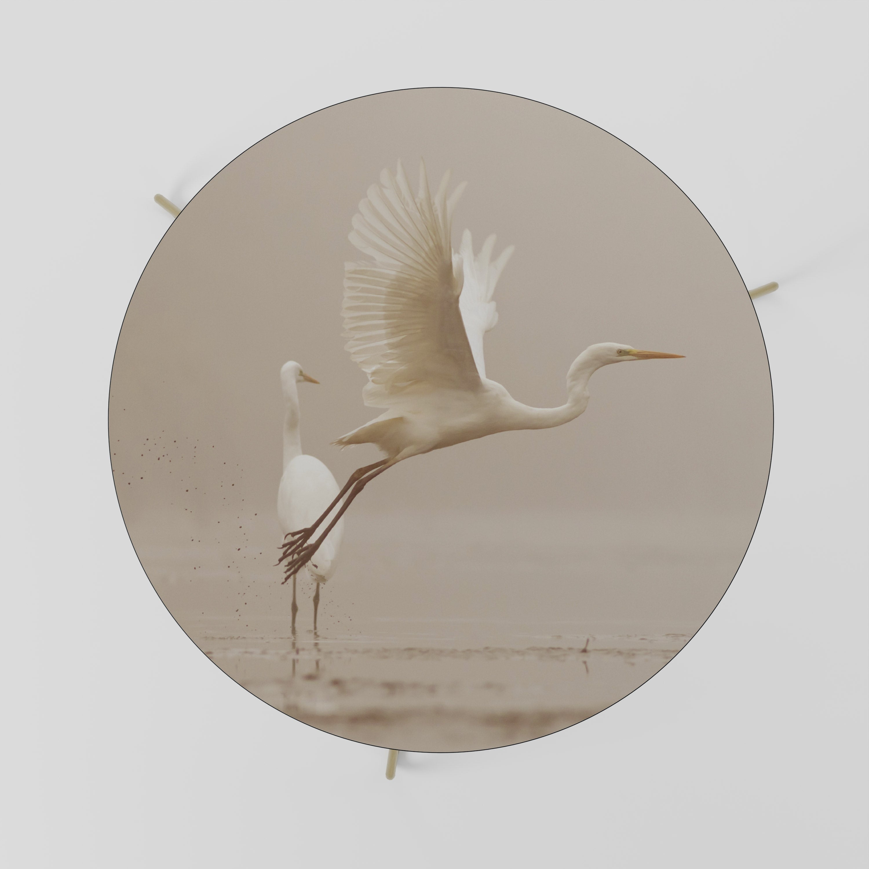 ELEGANT ASCENT Couchtisch 69