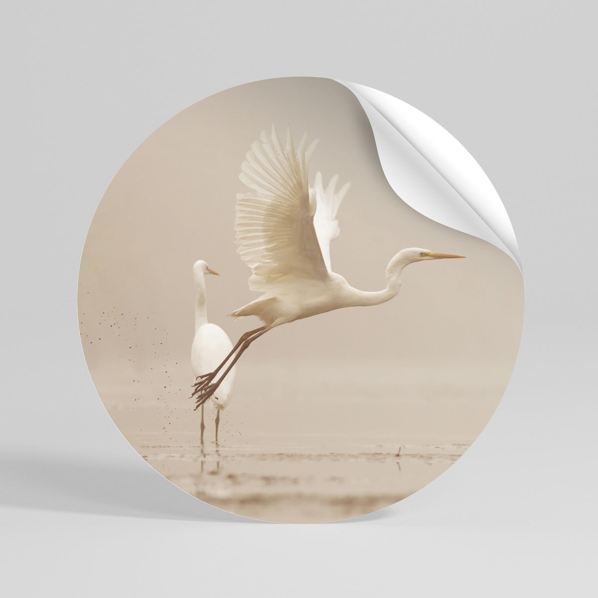ELEGANT ASCENT Runder Wandsticker zum Abziehen und Aufkleben