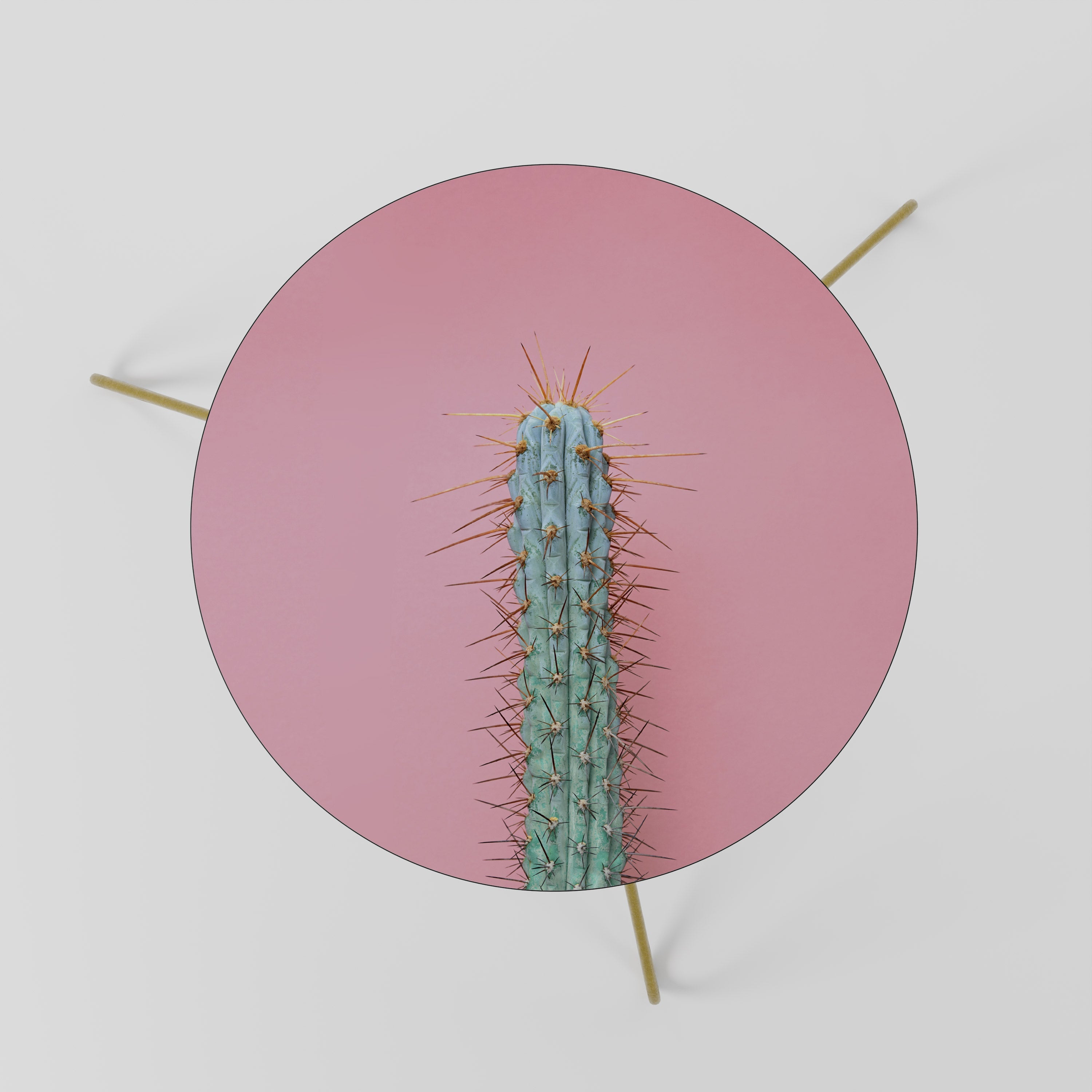 MISTER CACTUS Couchtisch 60