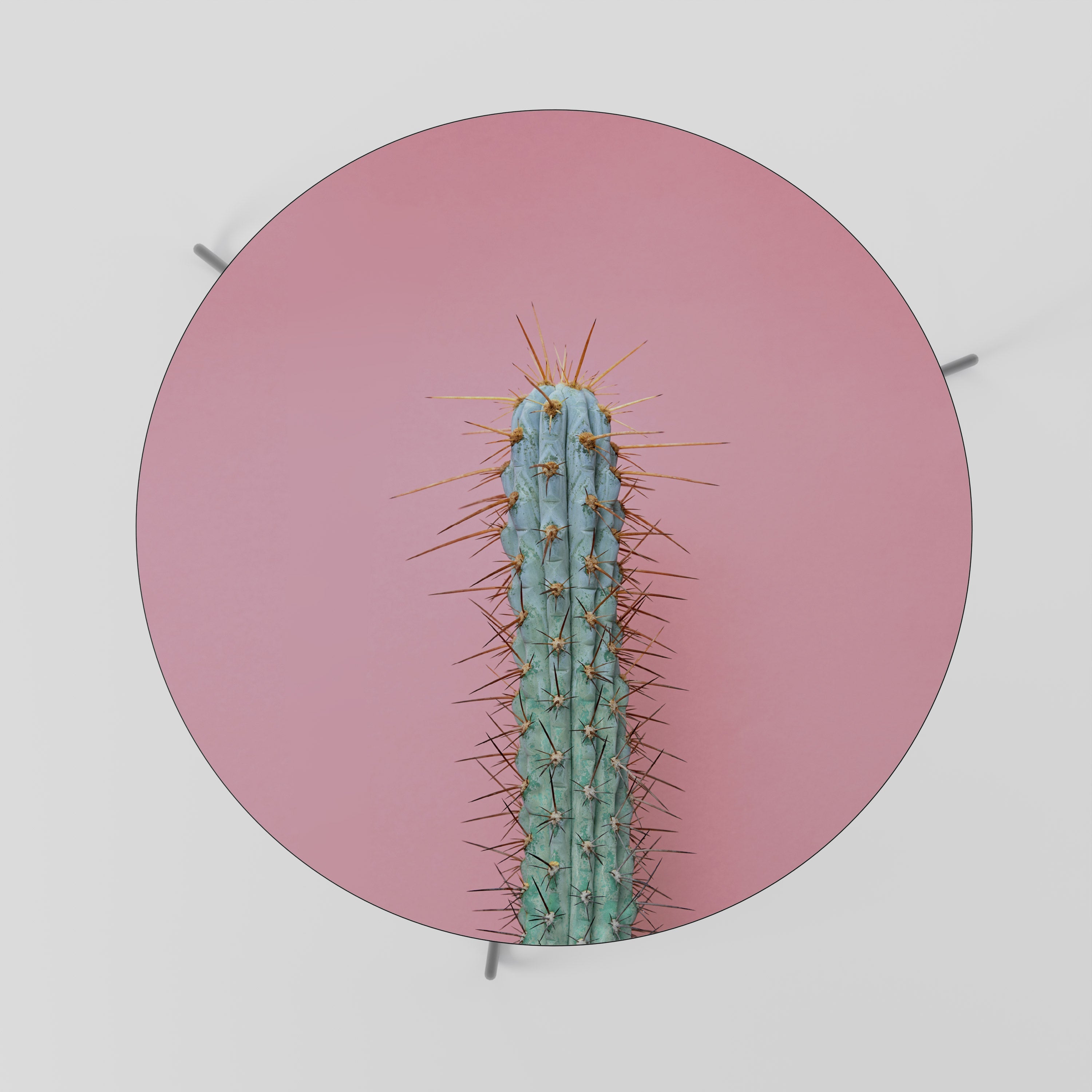 MISTER CACTUS Couchtisch 69