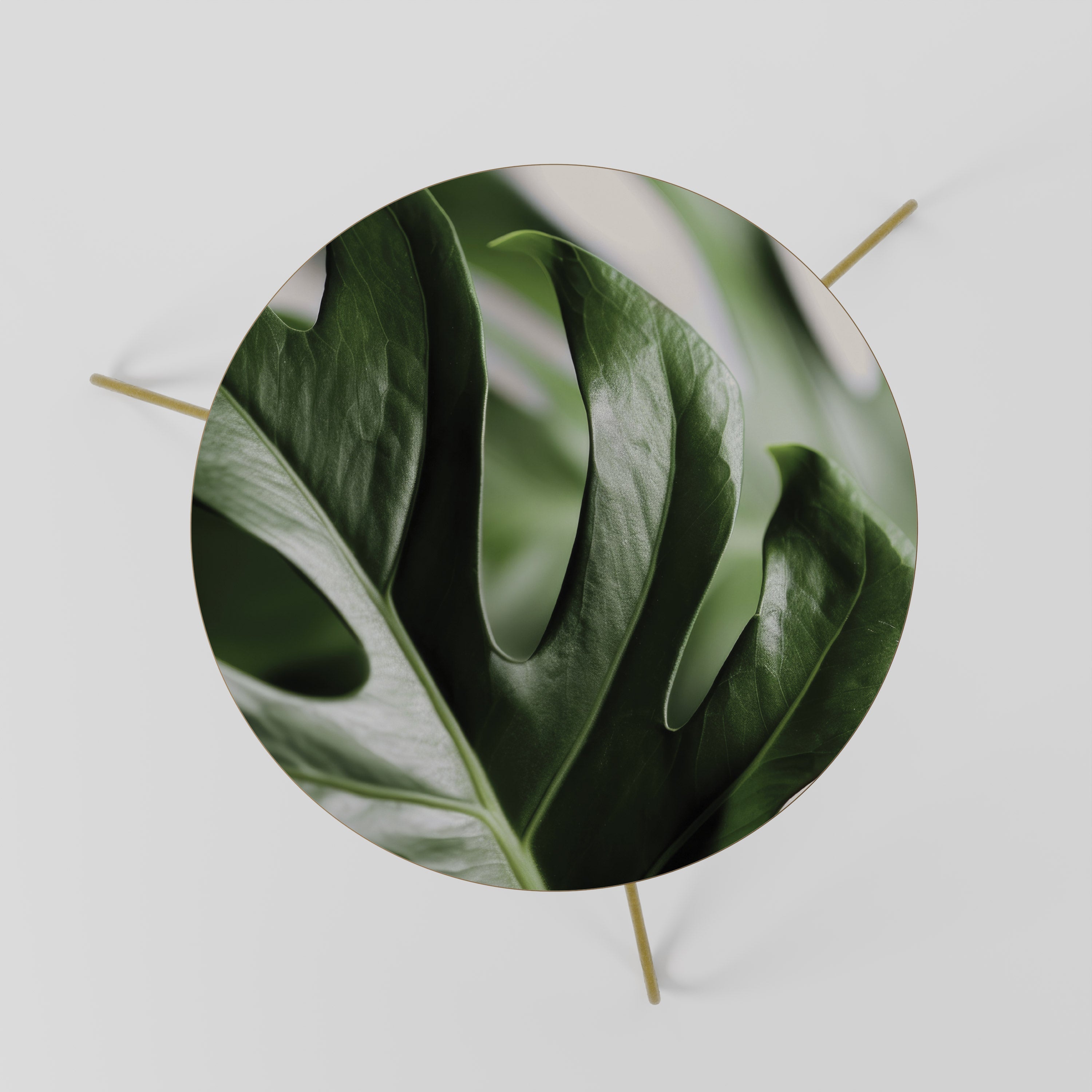 SHARP MONSTERA Couchtisch 60