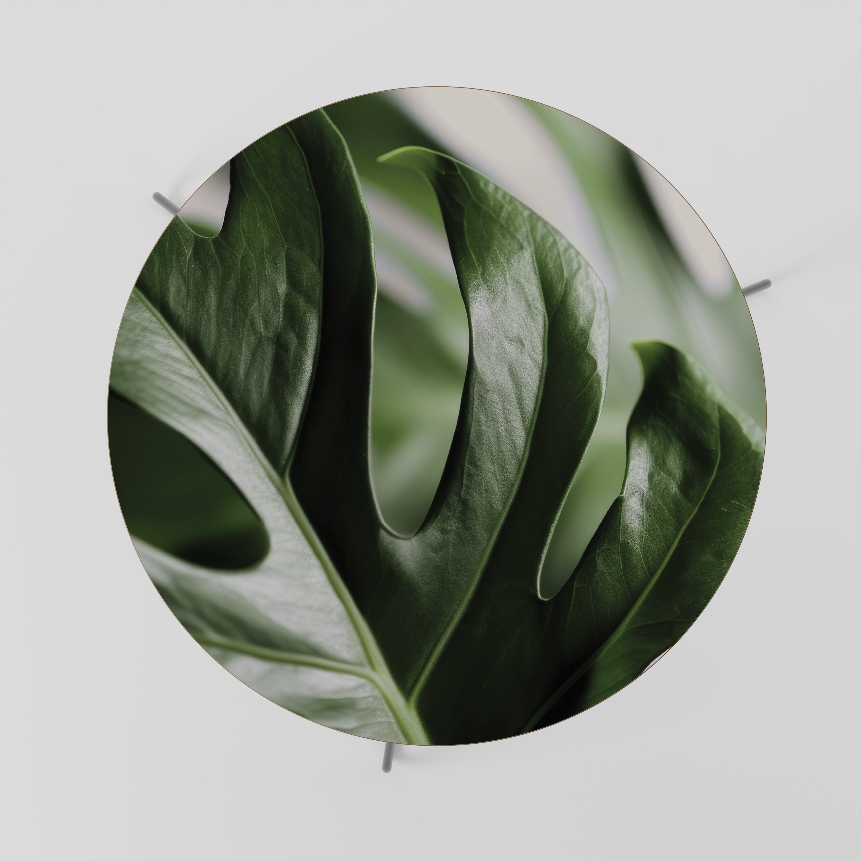 SHARP MONSTERA Couchtisch 69