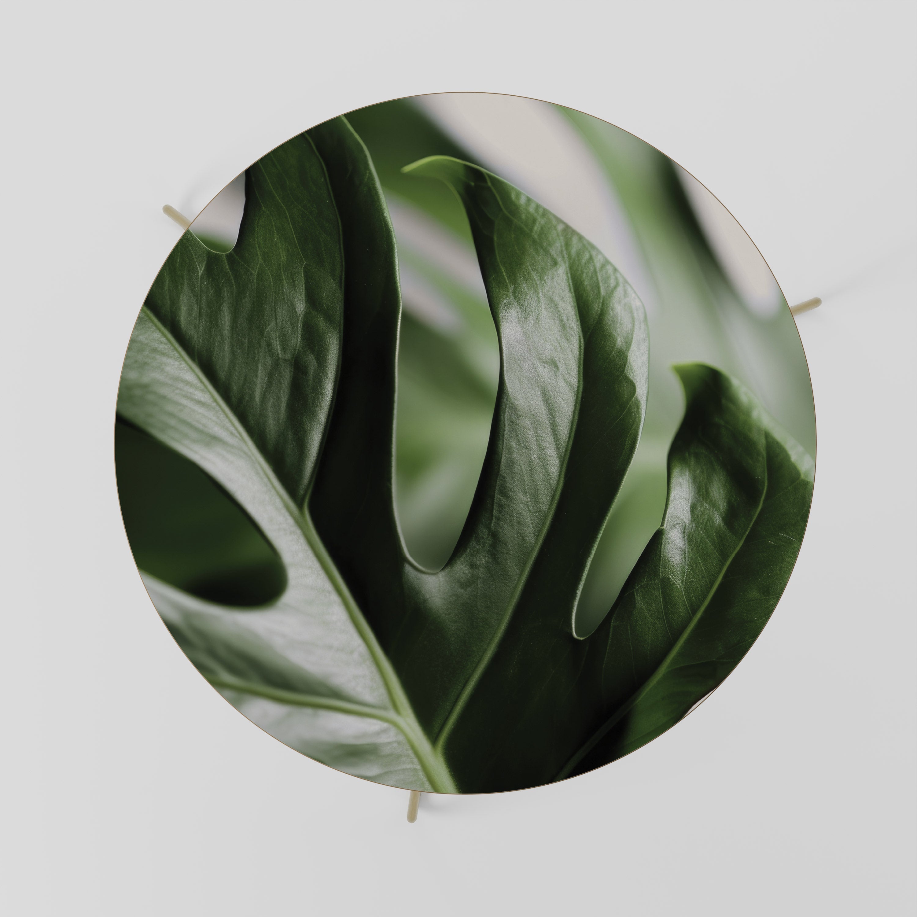 SHARP MONSTERA Couchtisch 69