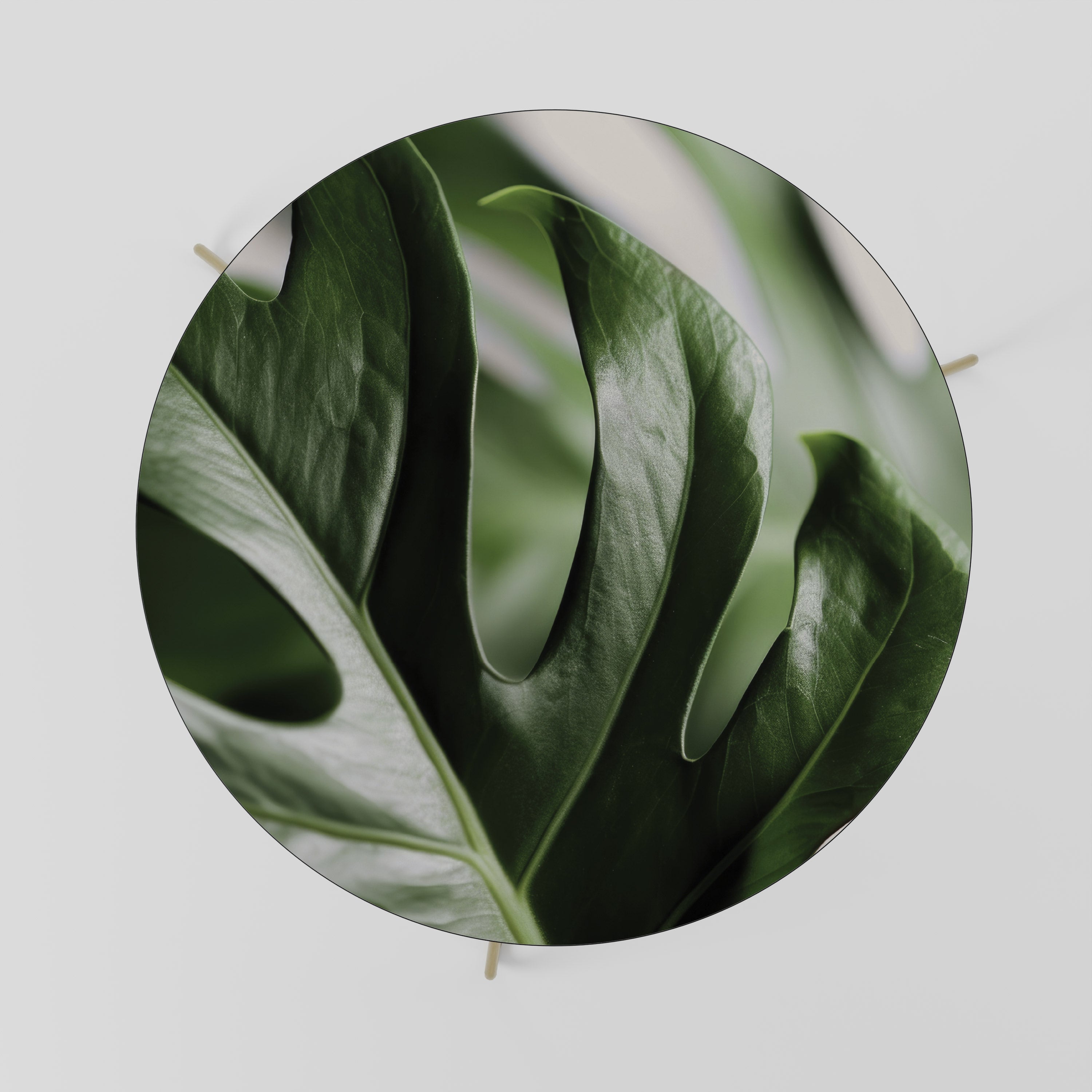 SHARP MONSTERA Couchtisch 69