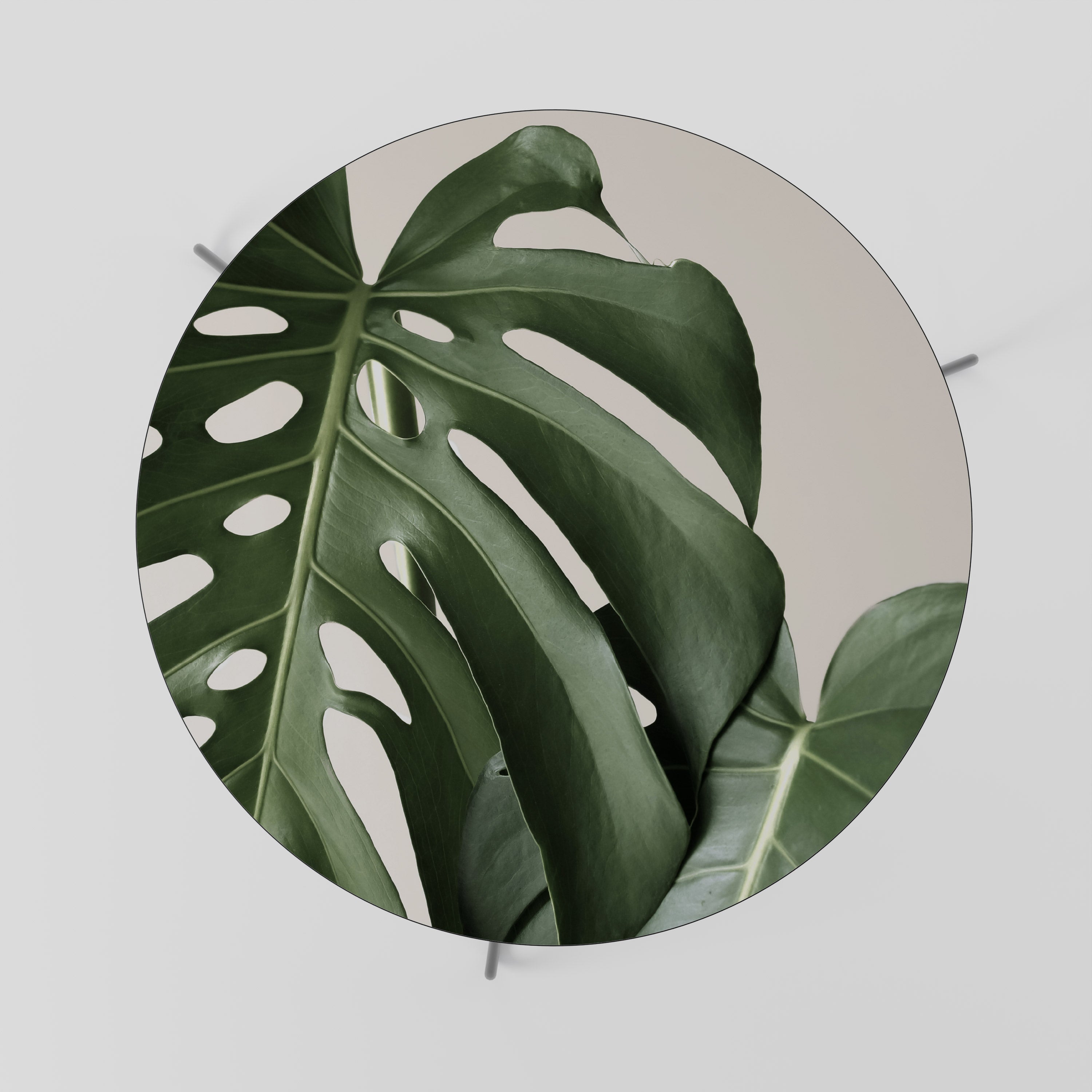 MONSTERA ACCURACY Couchtisch 69