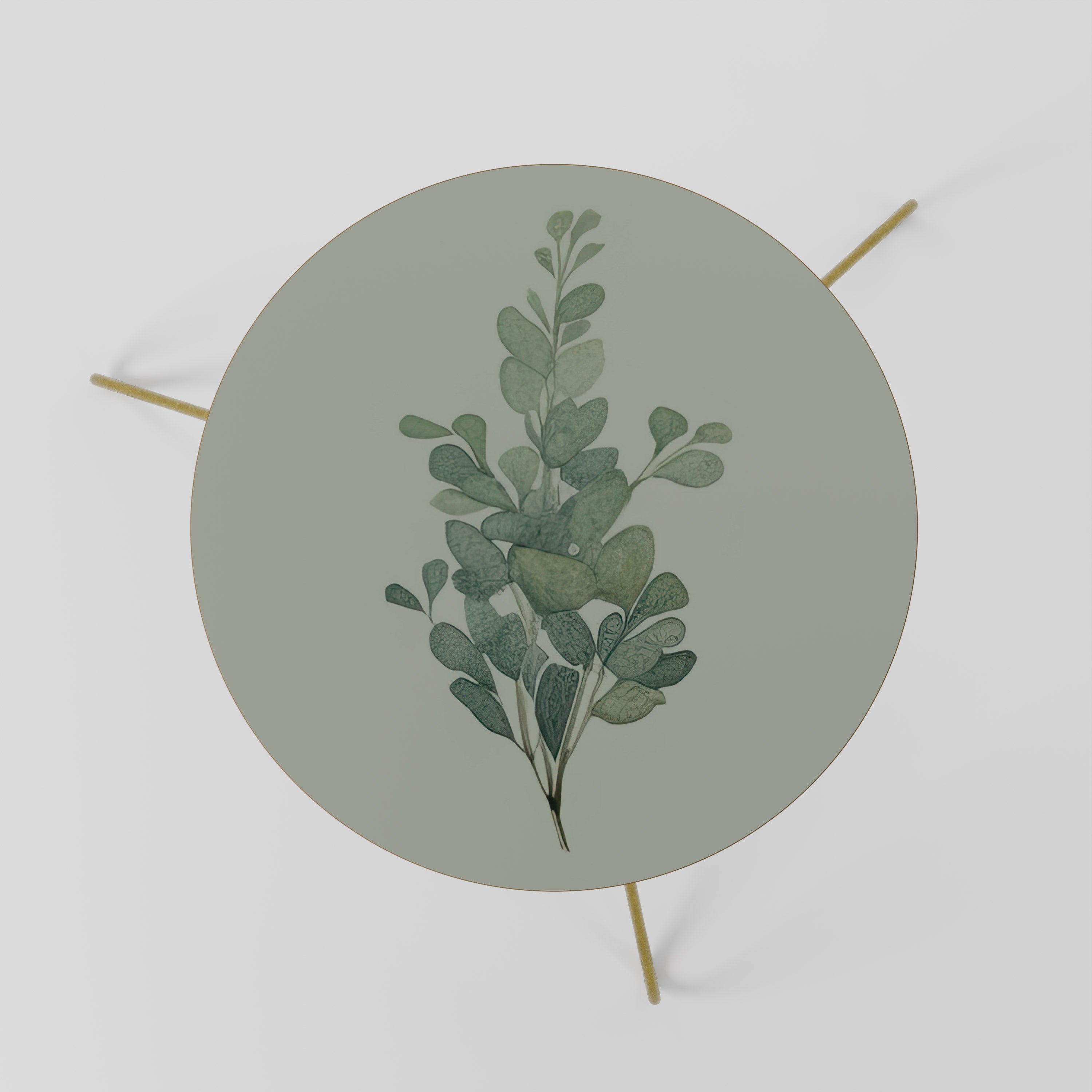 EUCALYPTUS TWIG Couchtisch 60