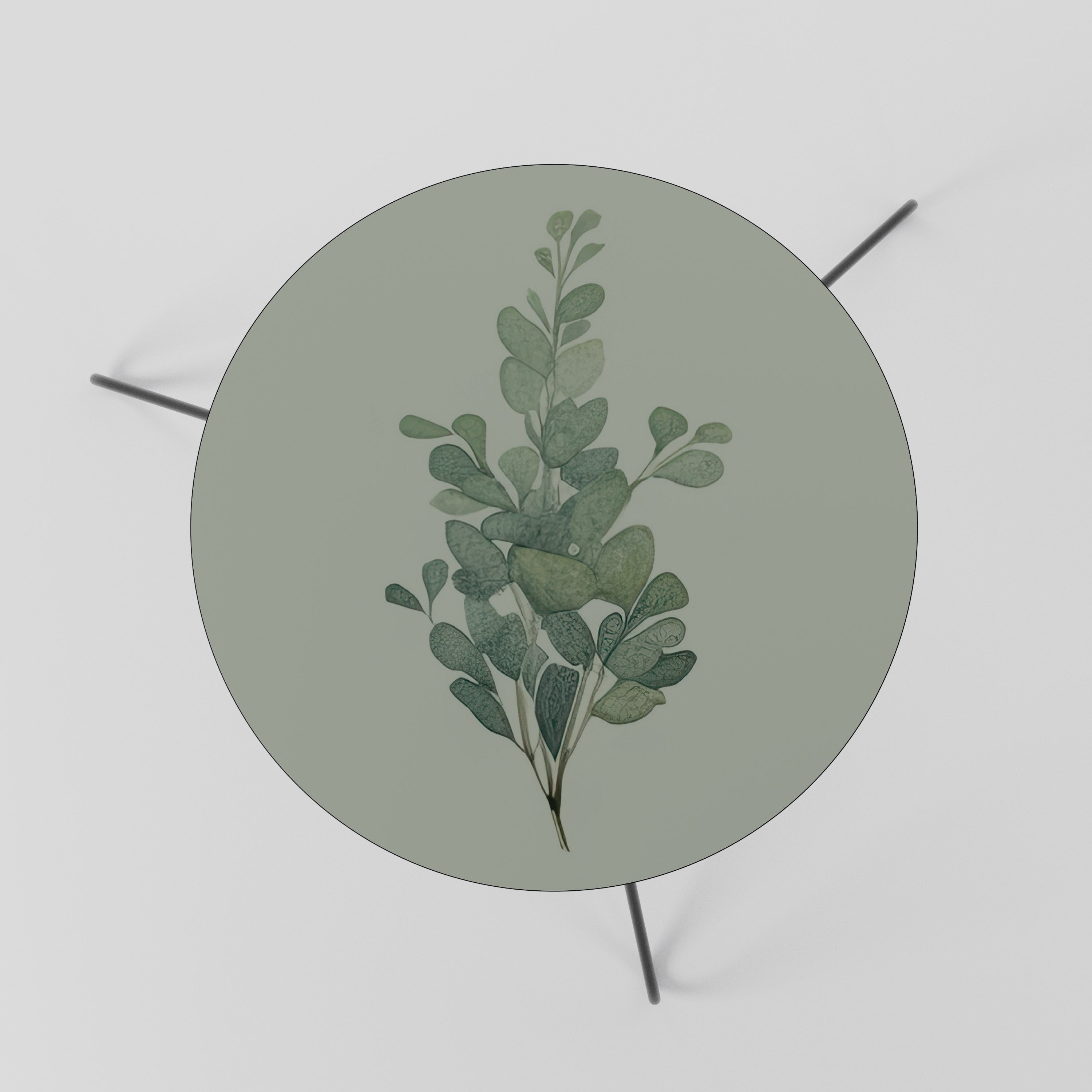 EUCALYPTUS TWIG Couchtisch 60