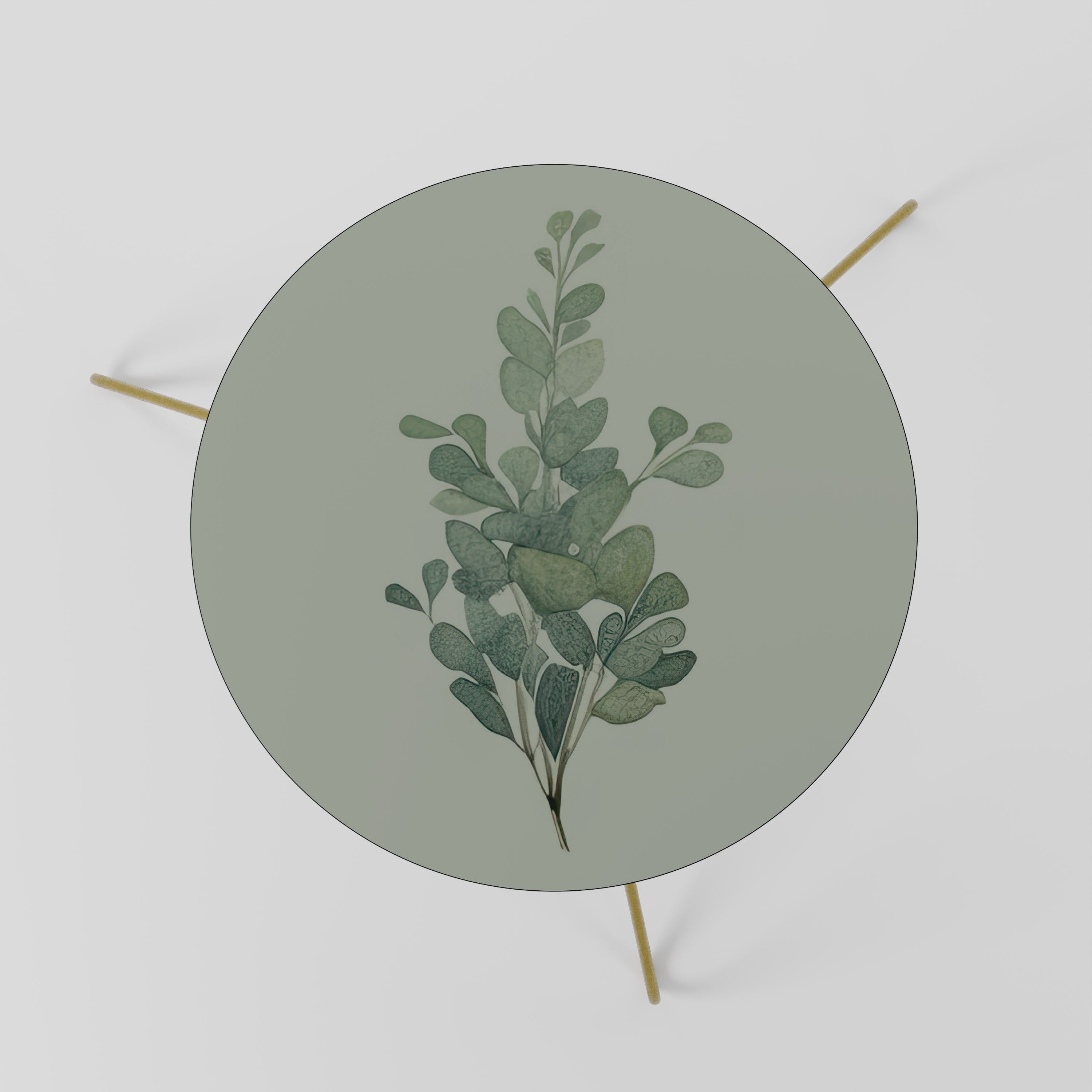 EUCALYPTUS TWIG Couchtisch 60